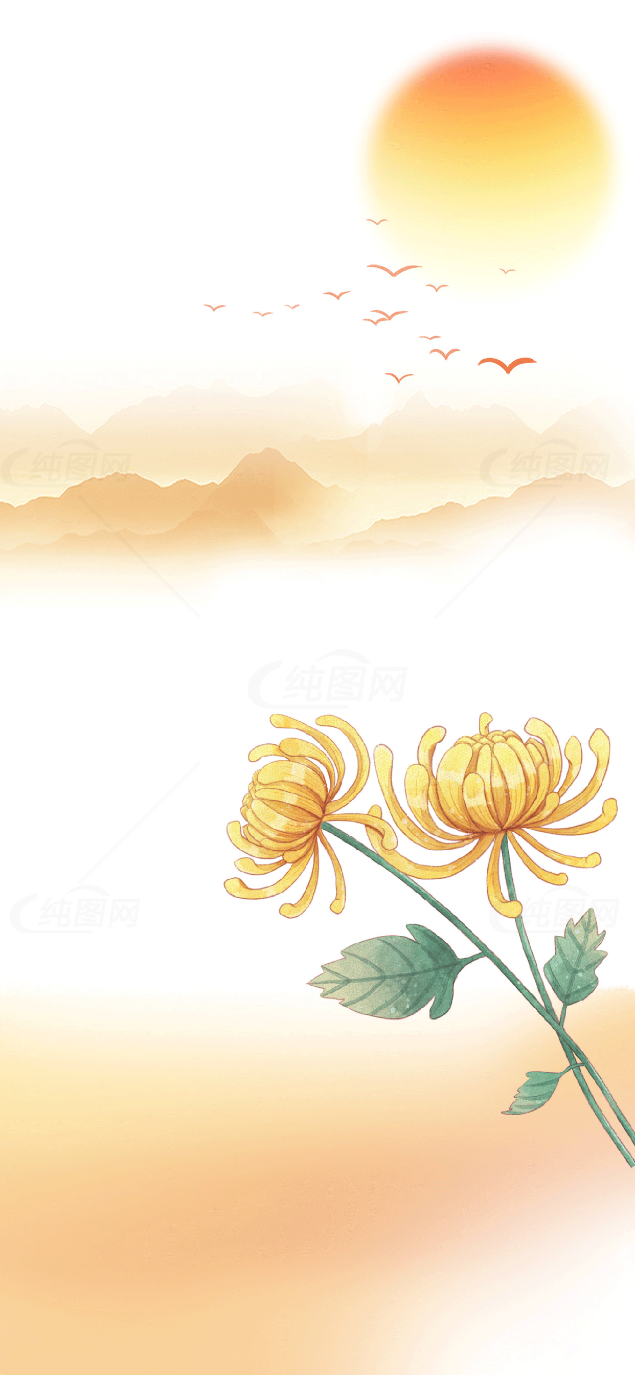 秋日菊花与日出背景图素材