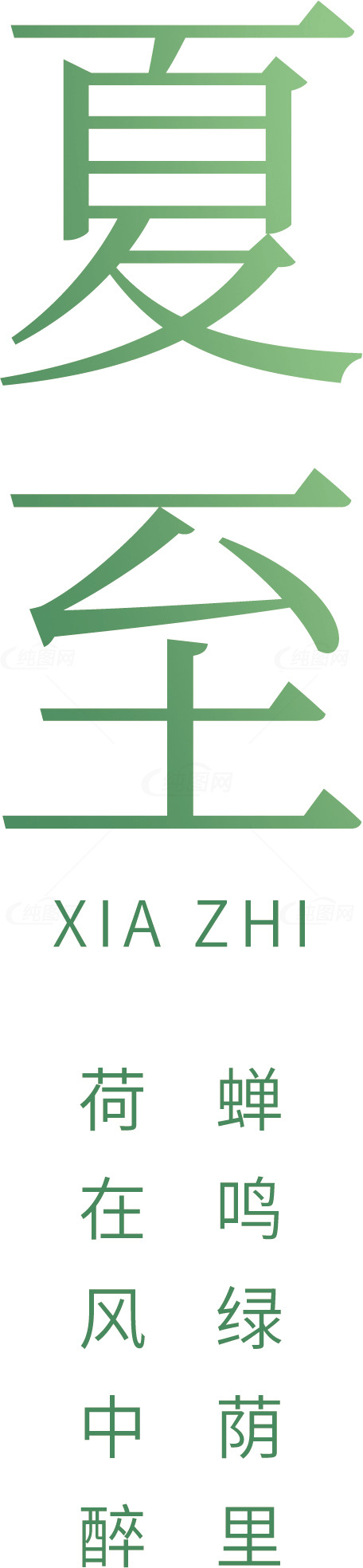 夏至节气：荷风蝉鸣的绿色时光素材