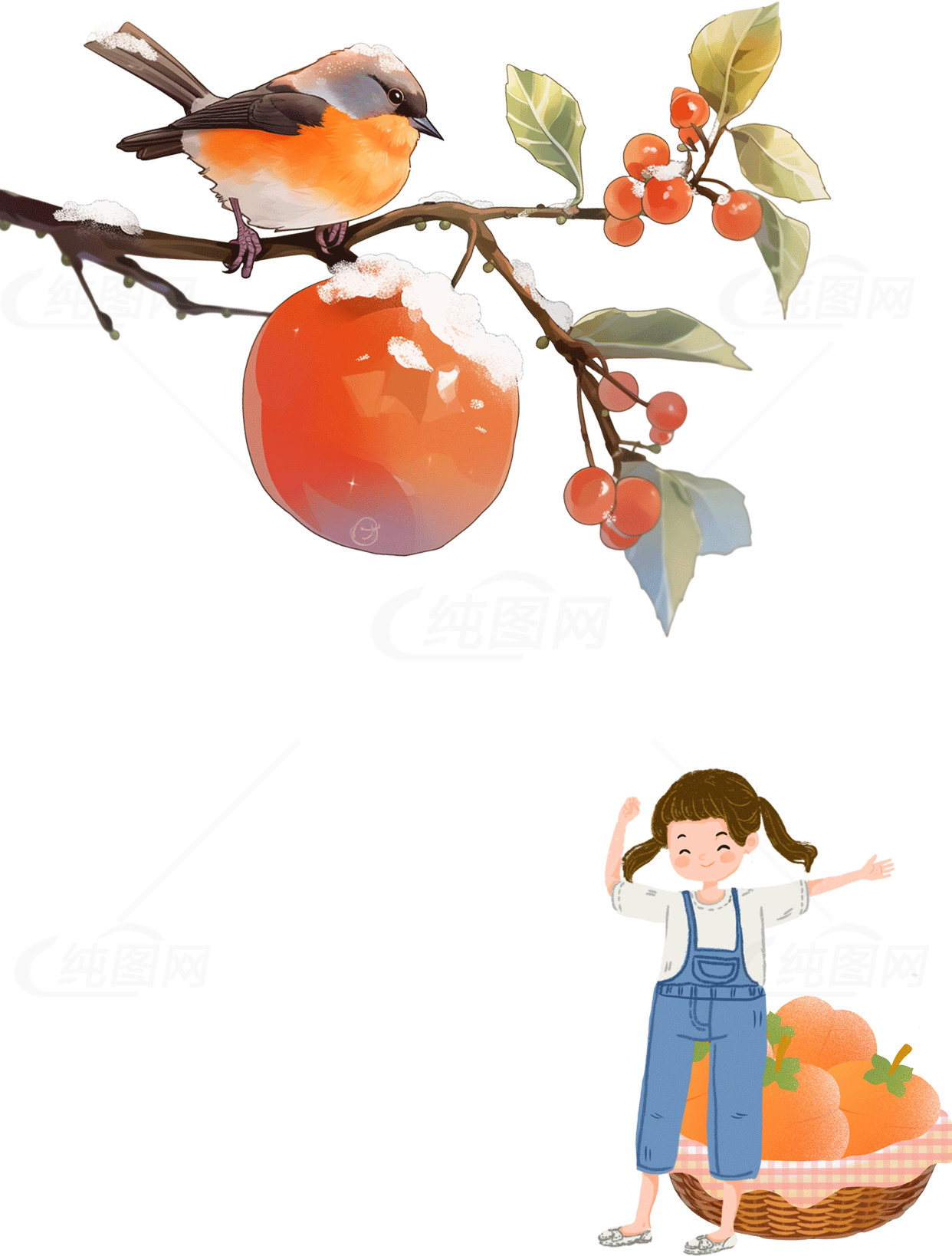 秋日插画：小鸟与柿子素材