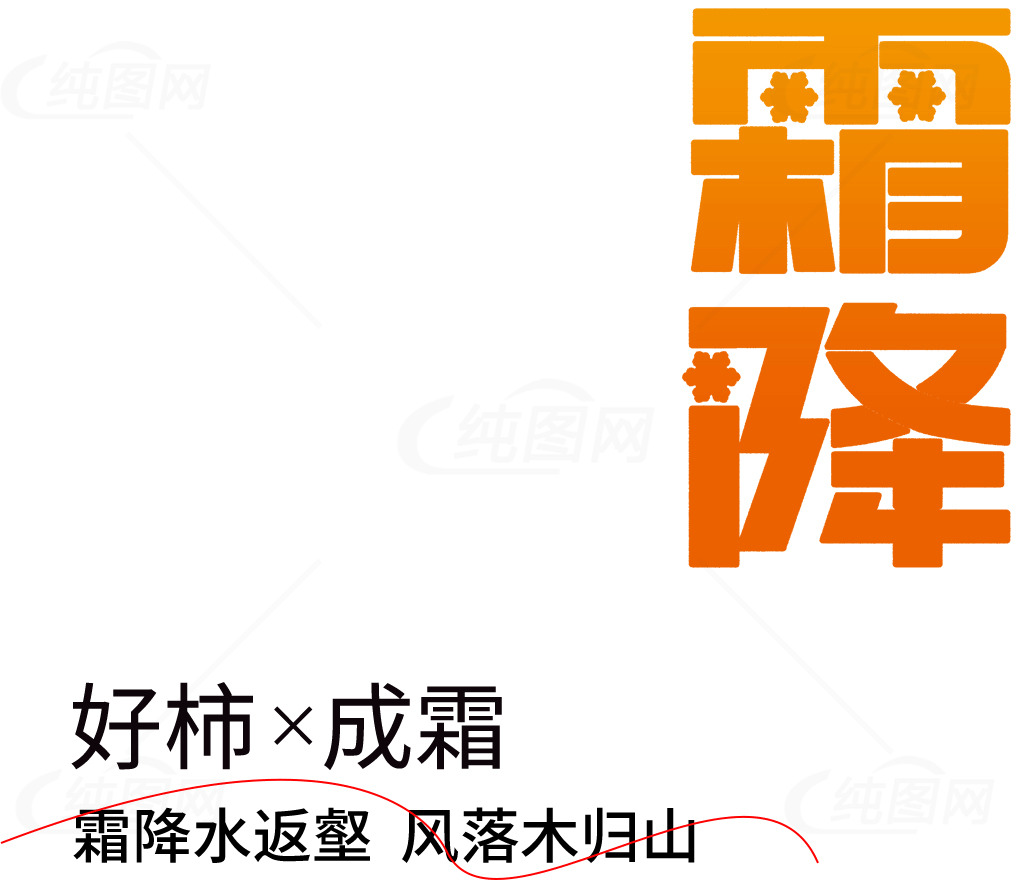 霜降节气与柿子文化的完美结合素材