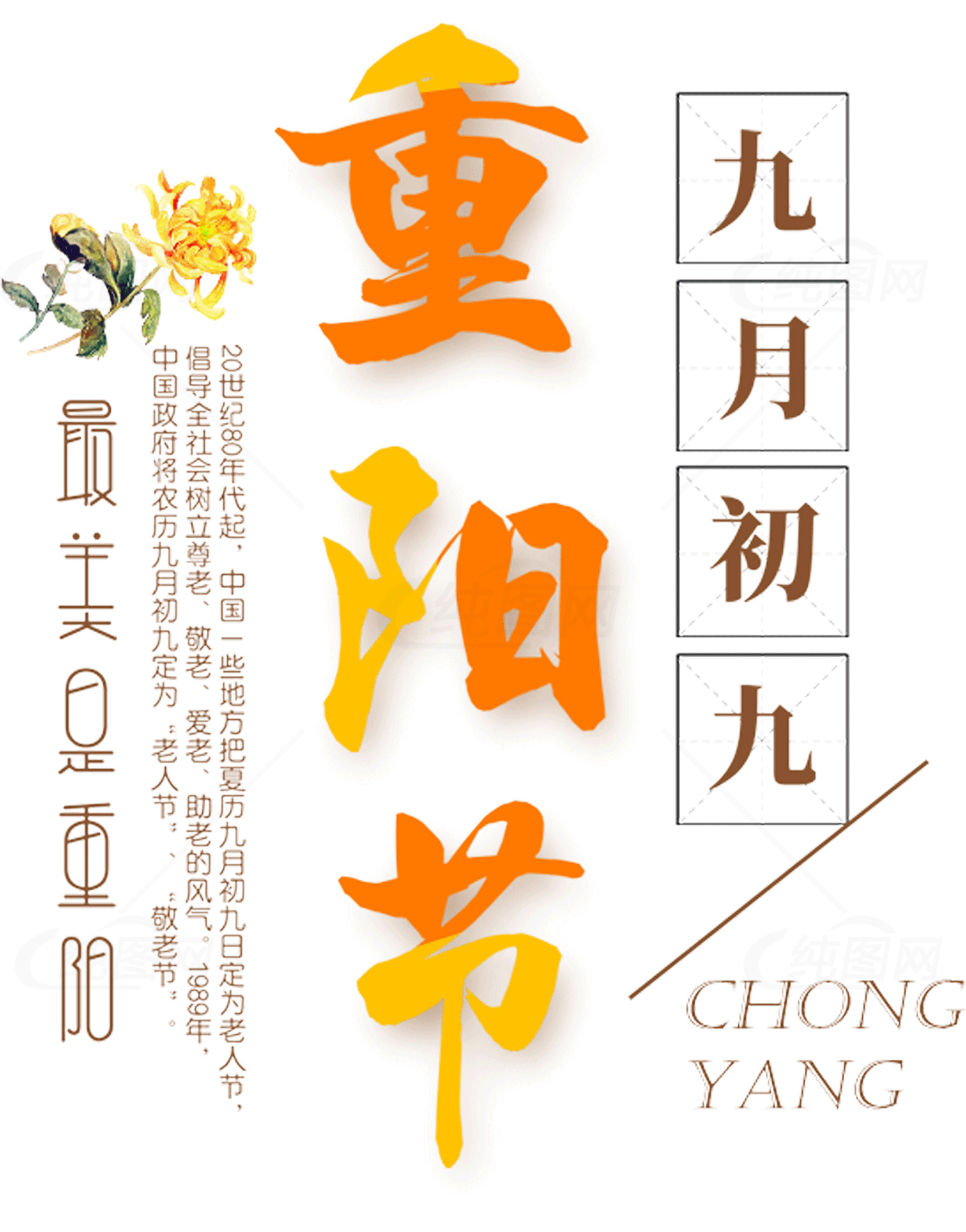 重阳节庆祝活动与传统文化素材