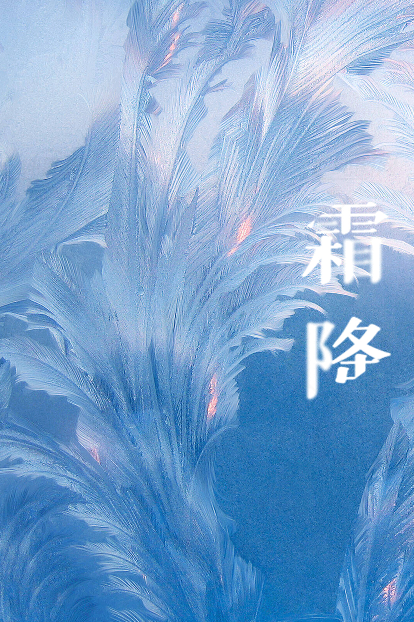 霜降节气的冰霜艺术背景素材
