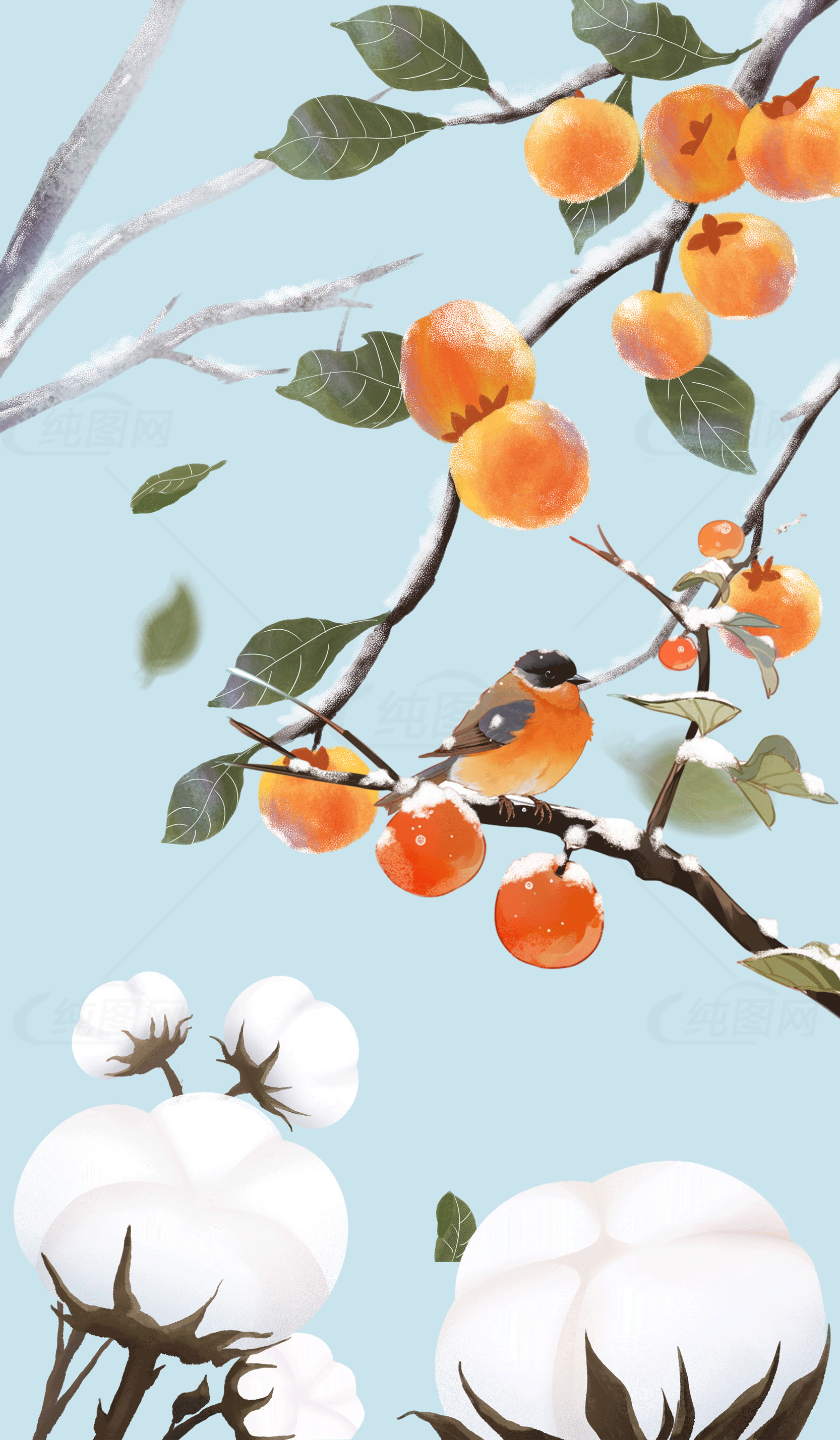 秋日柿子与小鸟插画素材