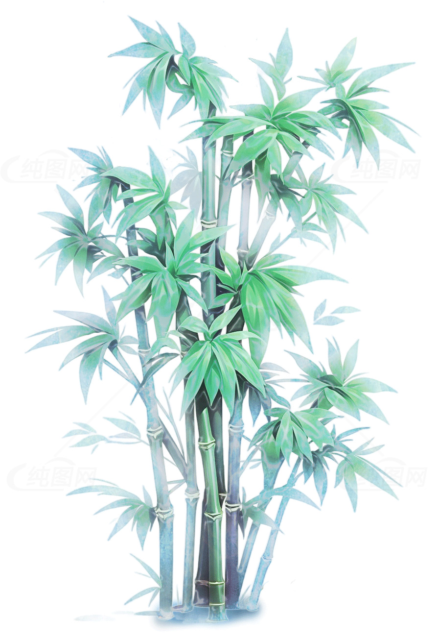 清新竹子插画：自然与宁静的完美结合素材