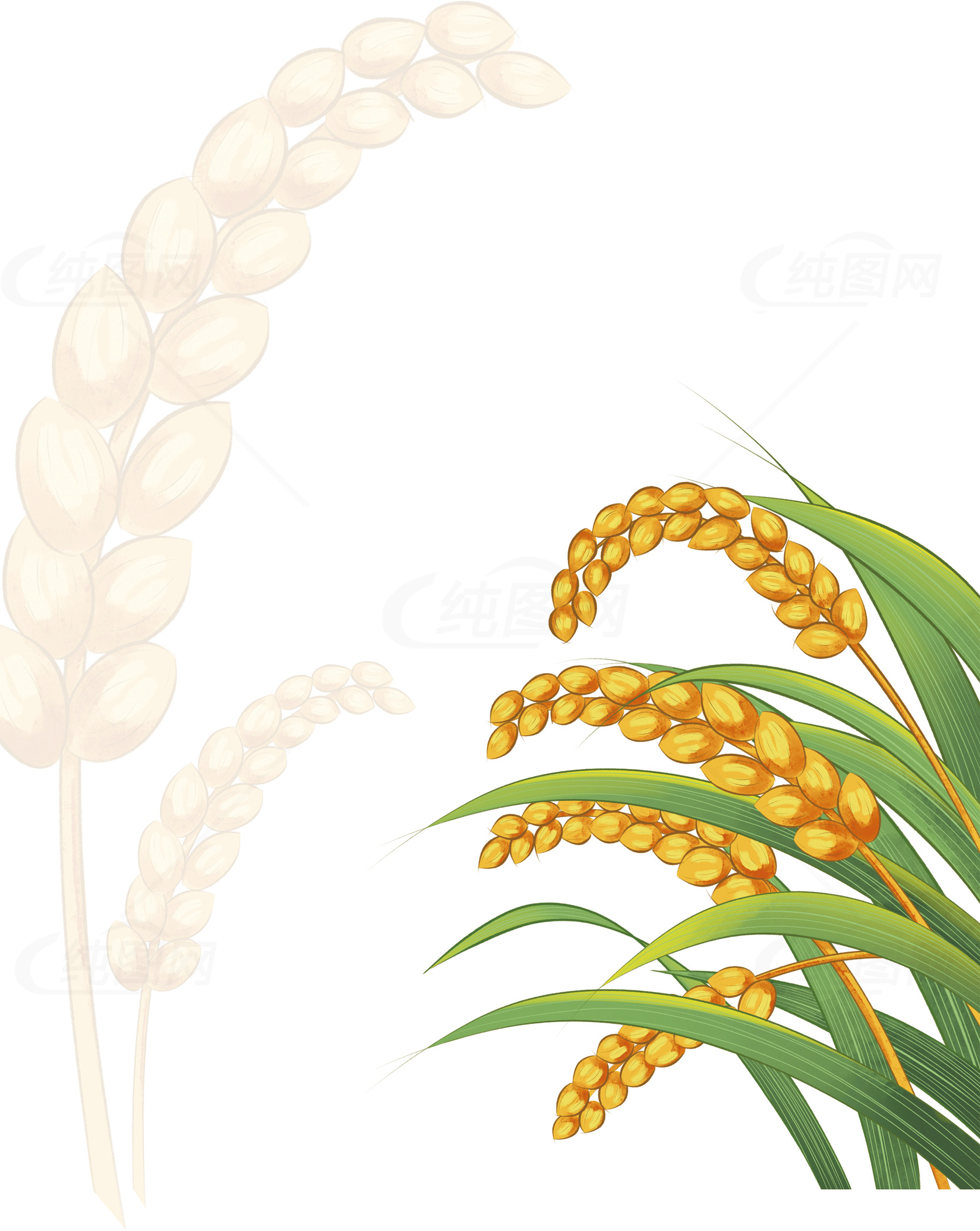 稻谷插画：丰收的象征素材