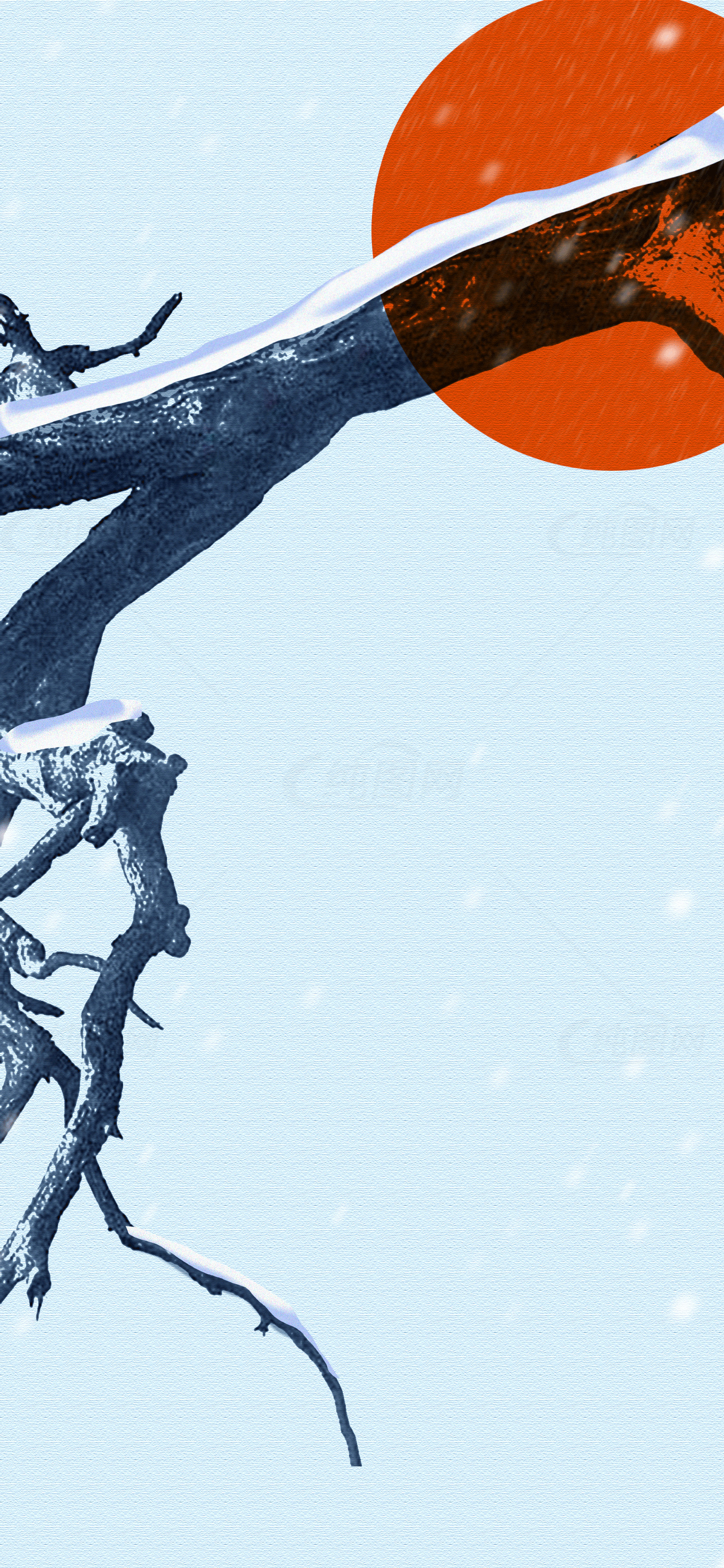 冬季雪景中的树枝与红日素材