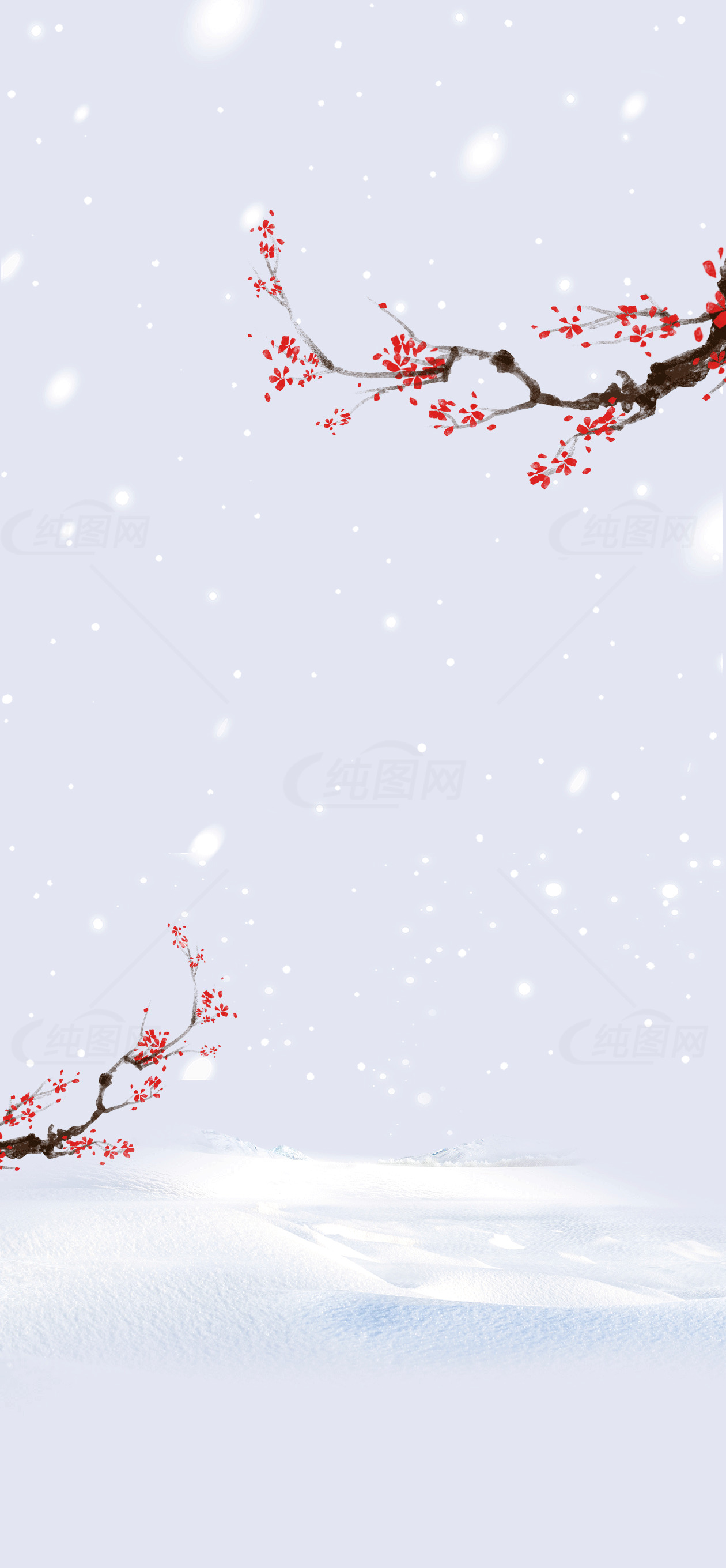 冬季雪景中的红梅枝素材