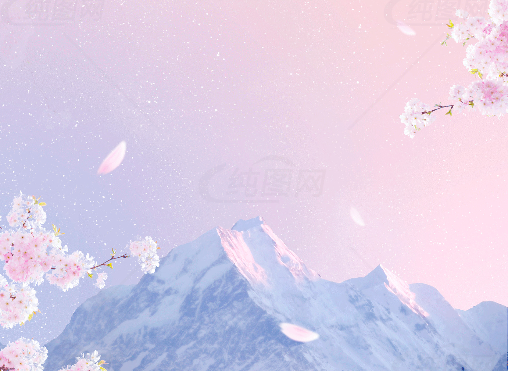 樱花与雪山的浪漫邂逅素材