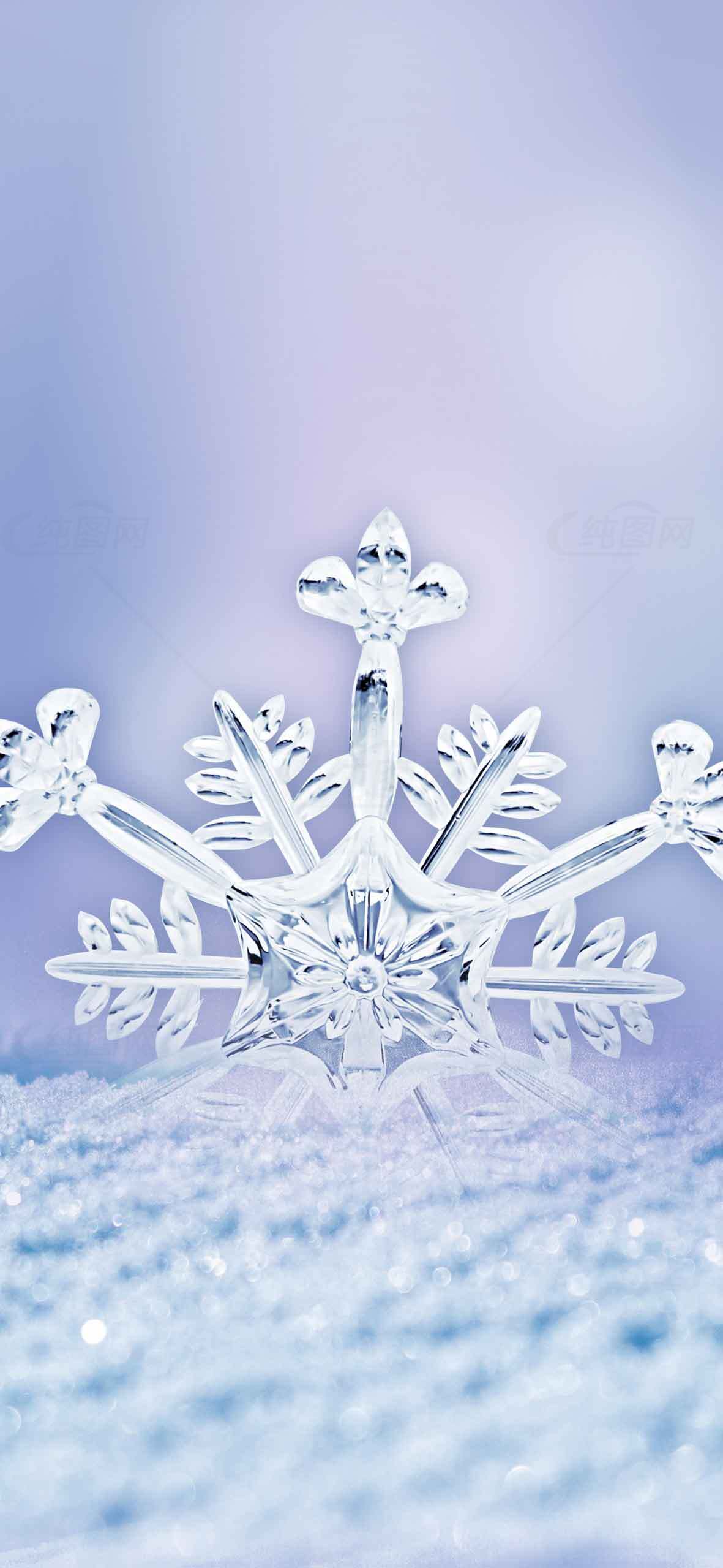 精美的冰雪结晶特写图片素材