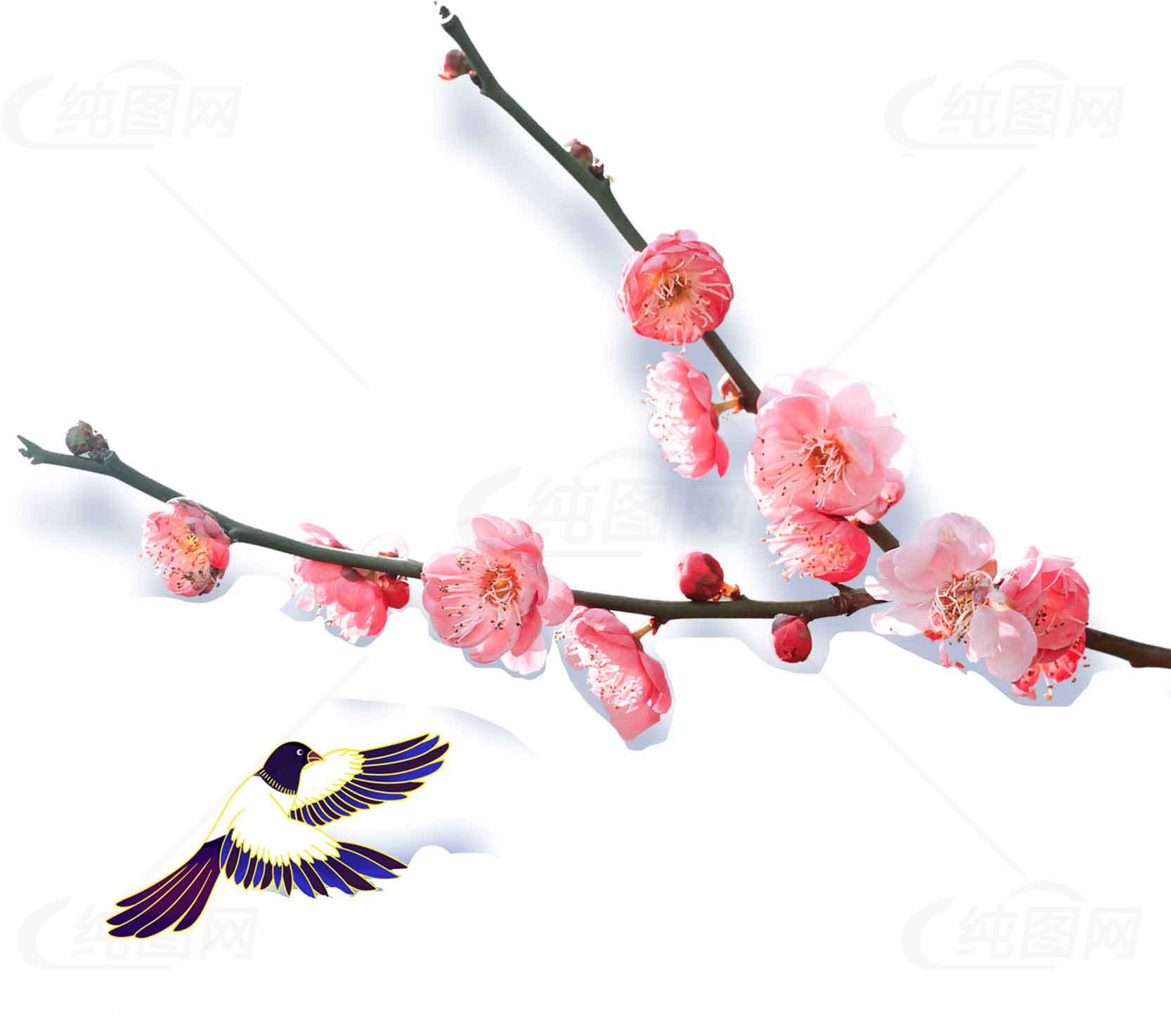 梅花与喜鹊：传统中国画艺术素材