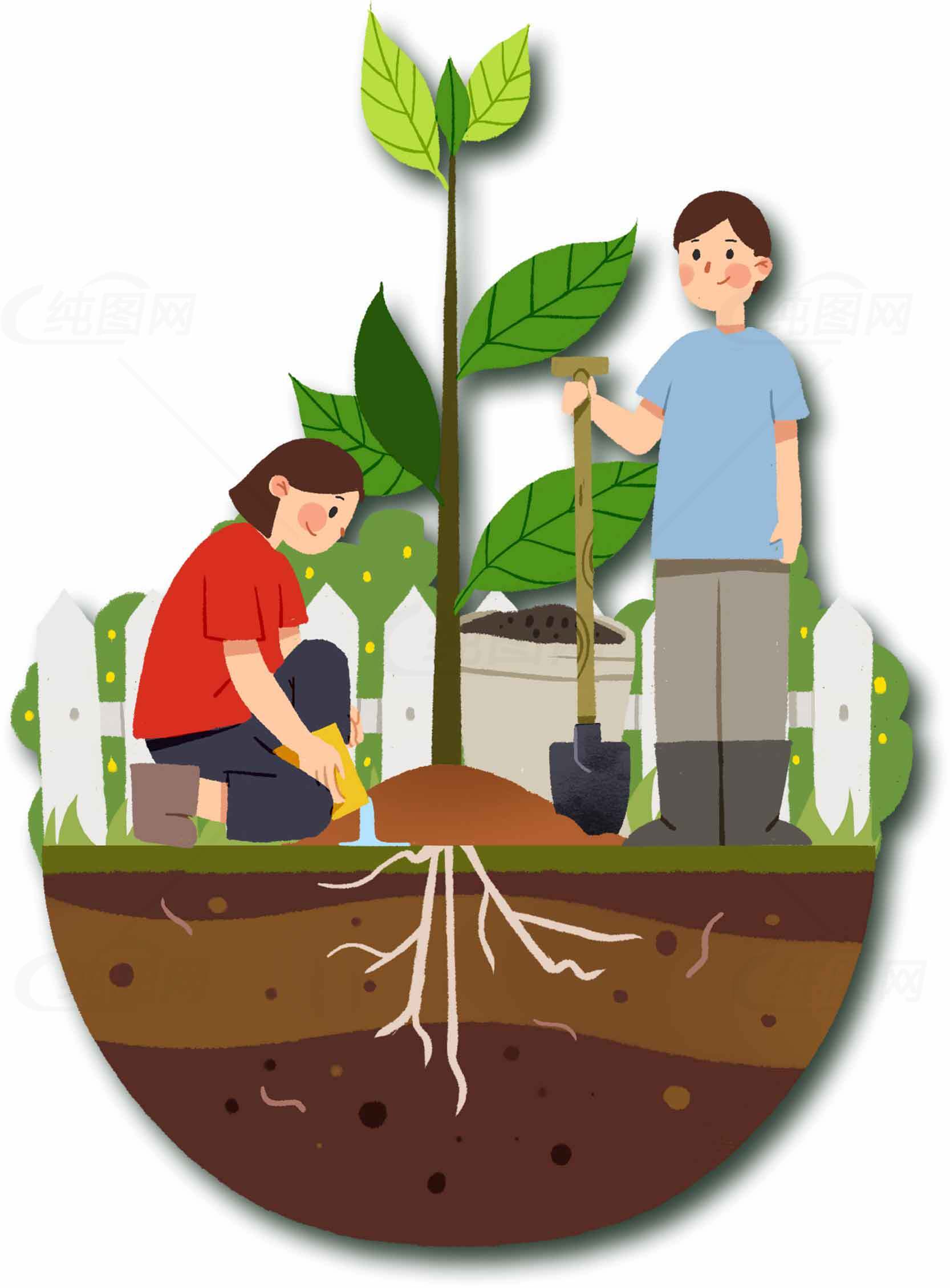 家庭园艺种植树木插画设计素材
