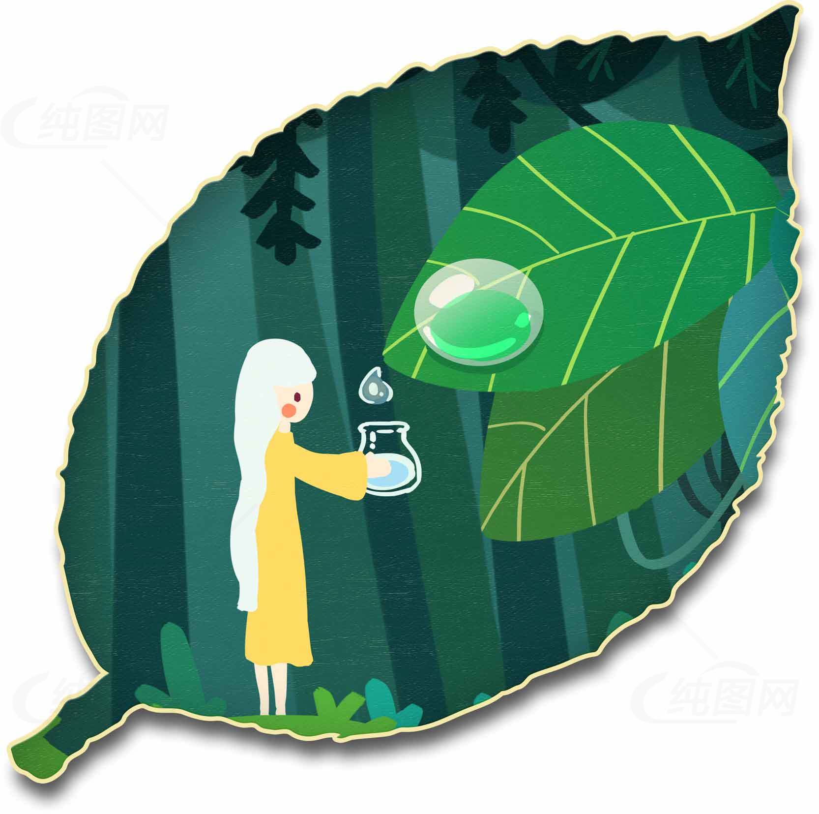 森林中的自然与生命之美素材