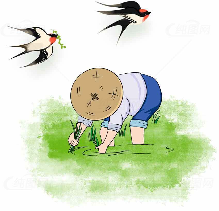 插秧农耕与春燕插画：传统农业与自然和谐之美素材