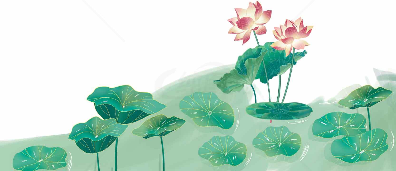 荷花与荷叶的唯美意境插画素材