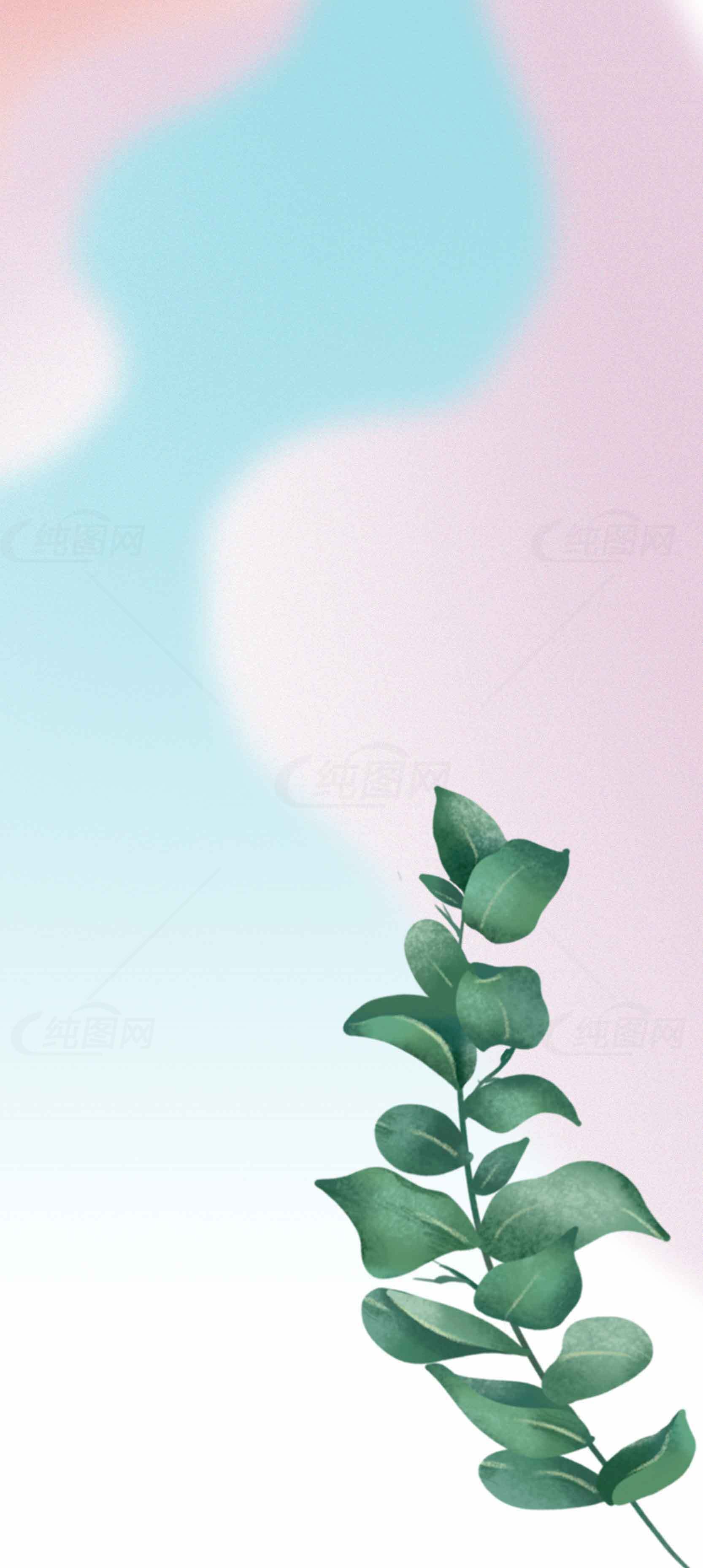 唯美渐变背景与绿植设计图片素材