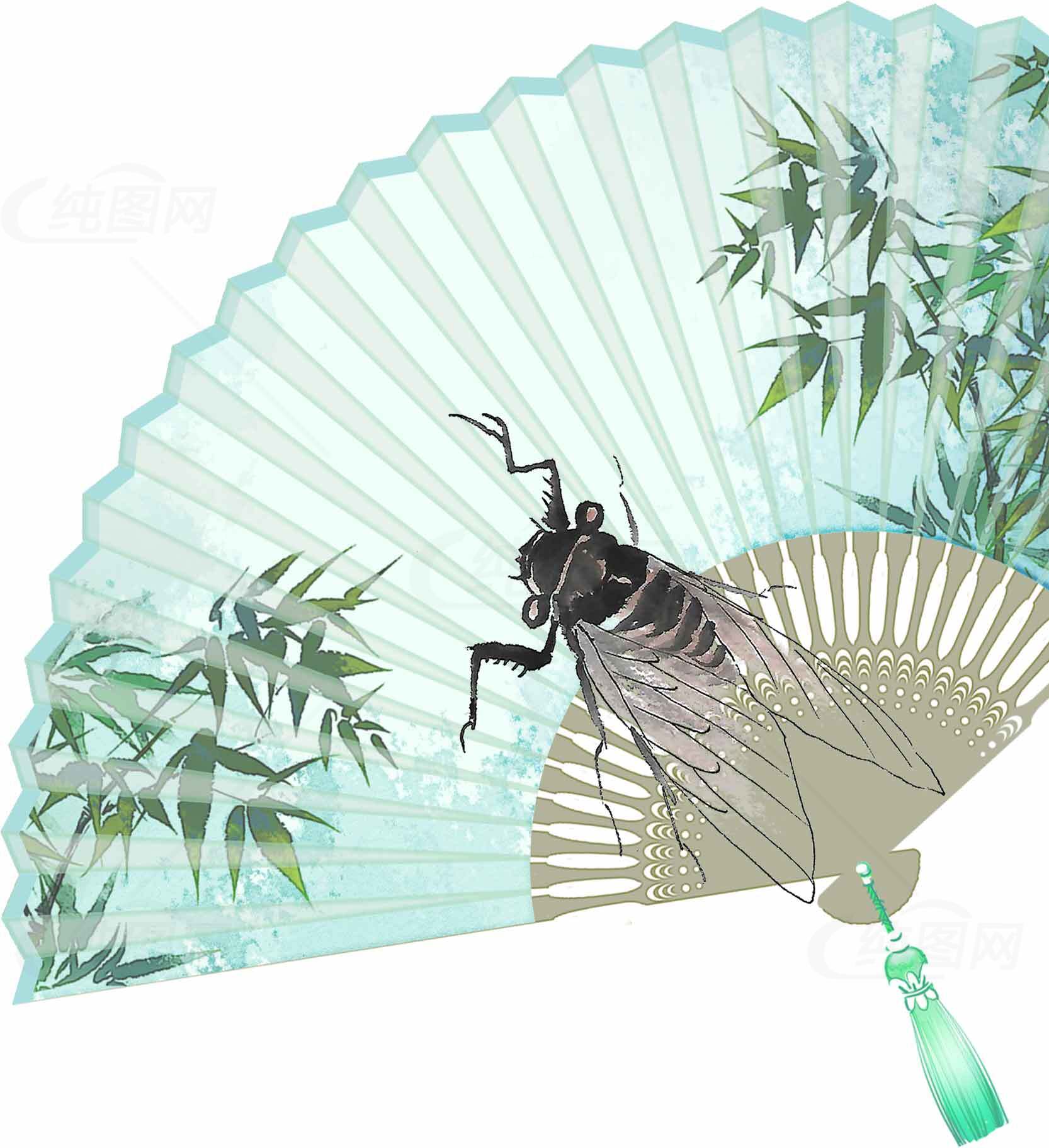 夏日竹叶蝉与折扇插画素材