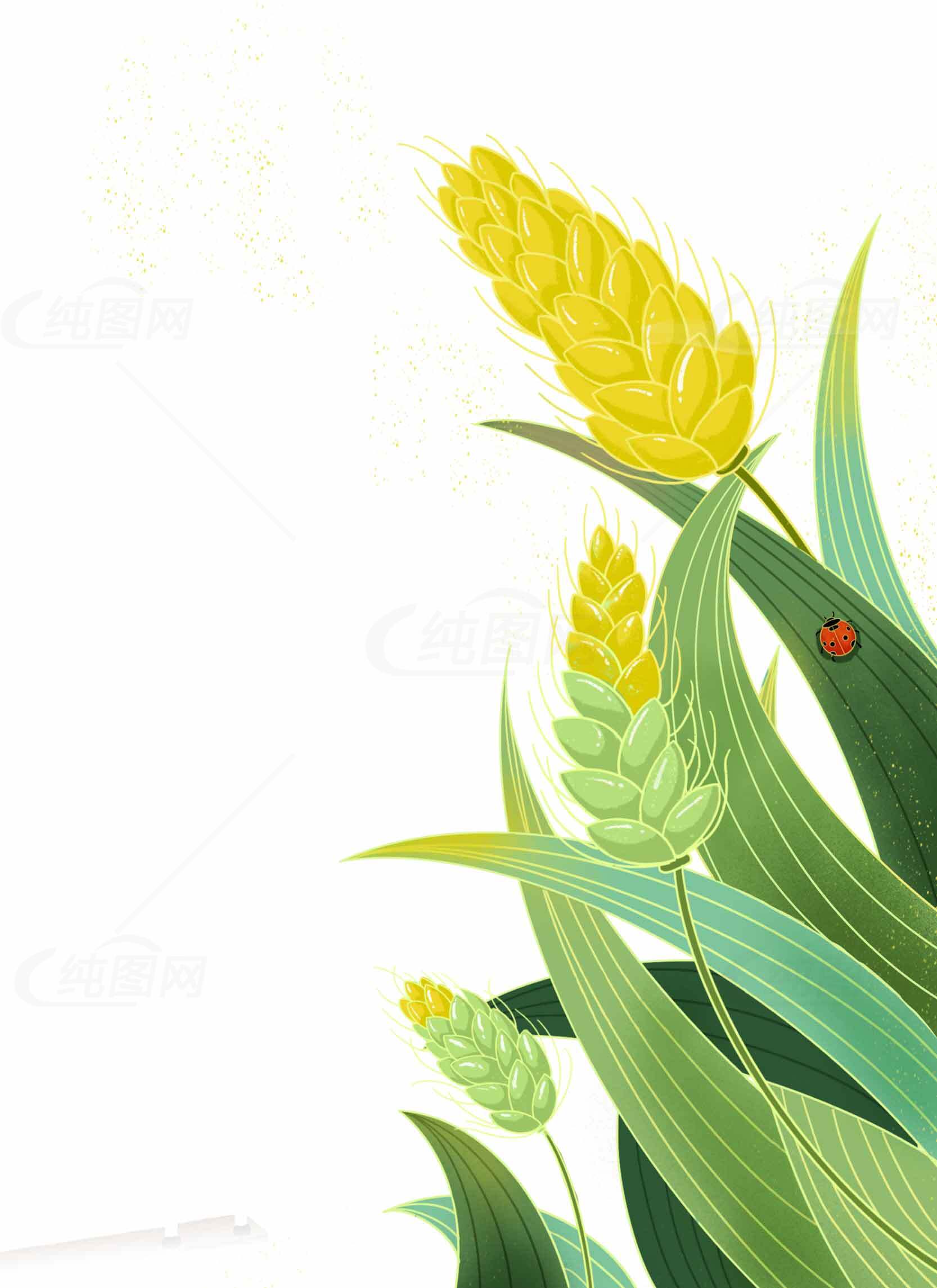 麦穗与瓢虫插画设计素材