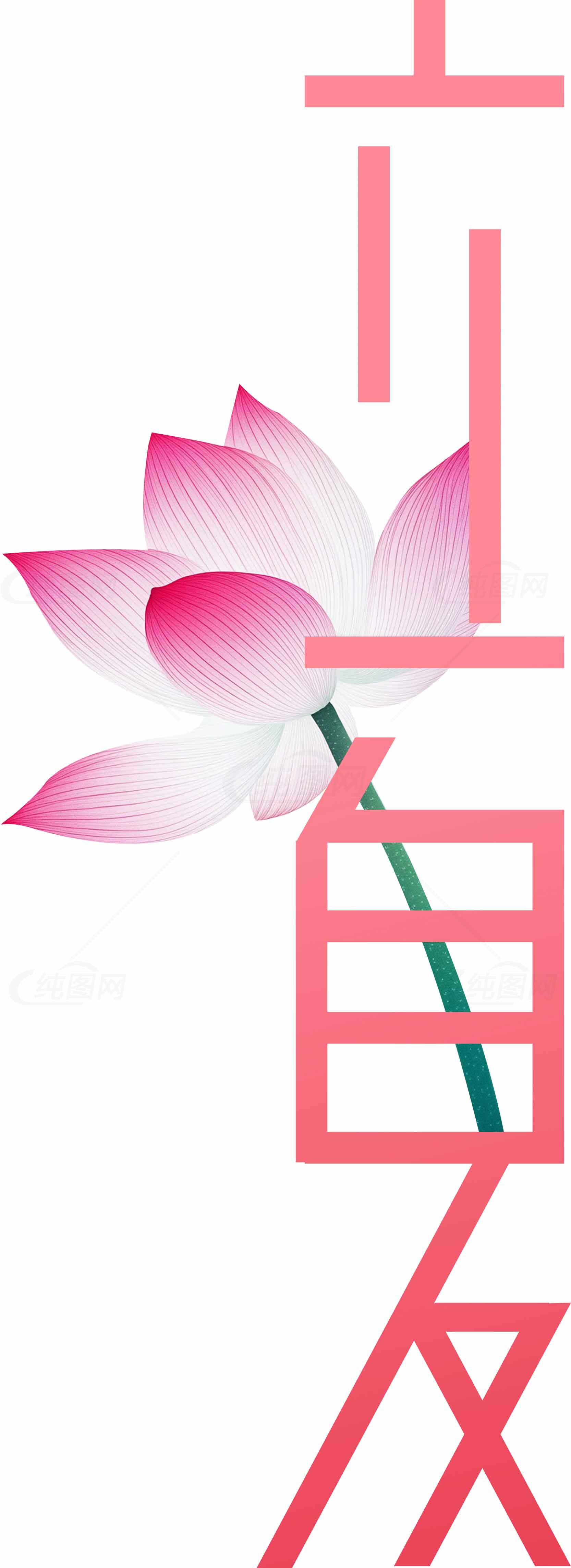 立夏节气荷花设计图片素材