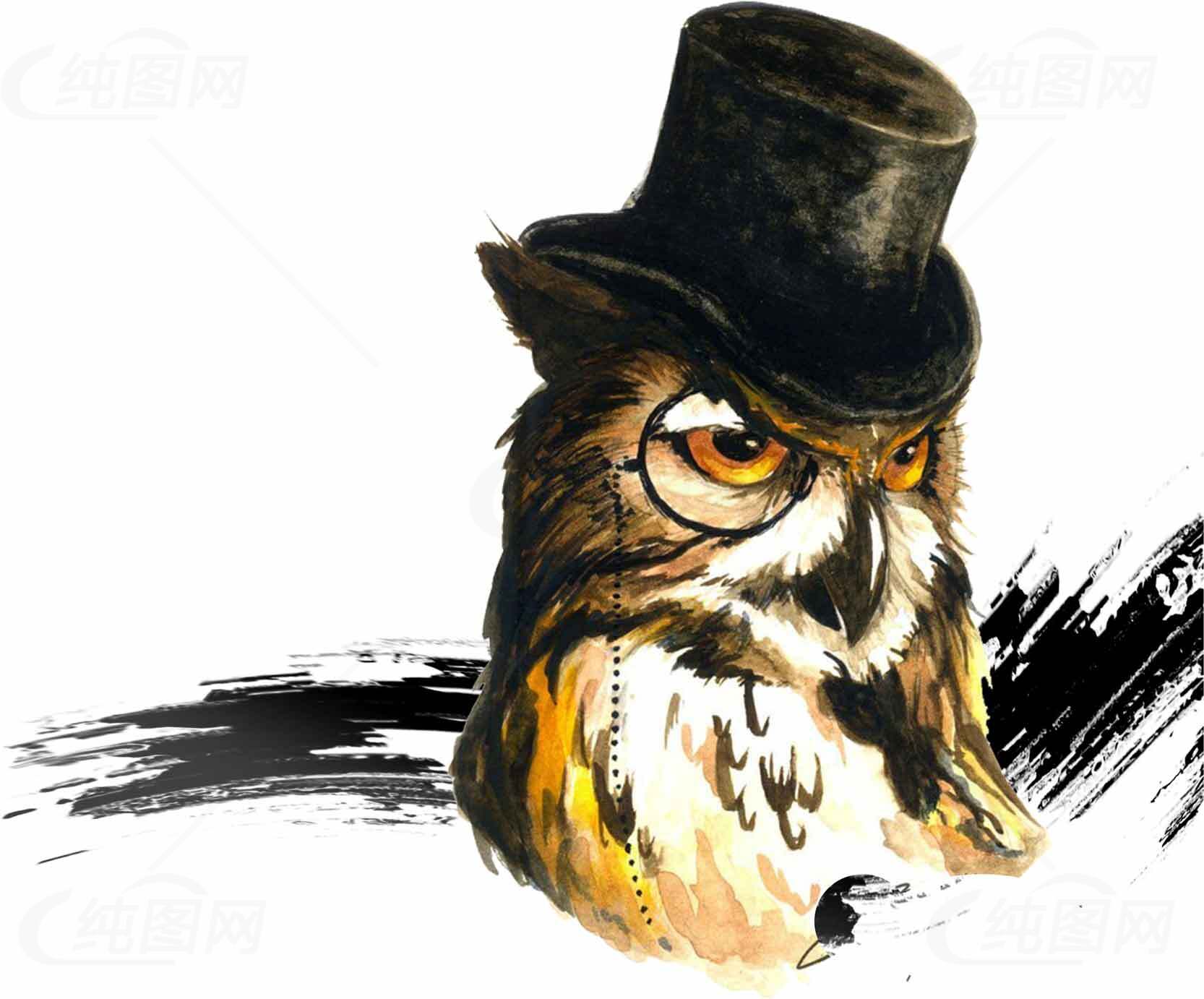 绅士猫头鹰插画艺术图片素材