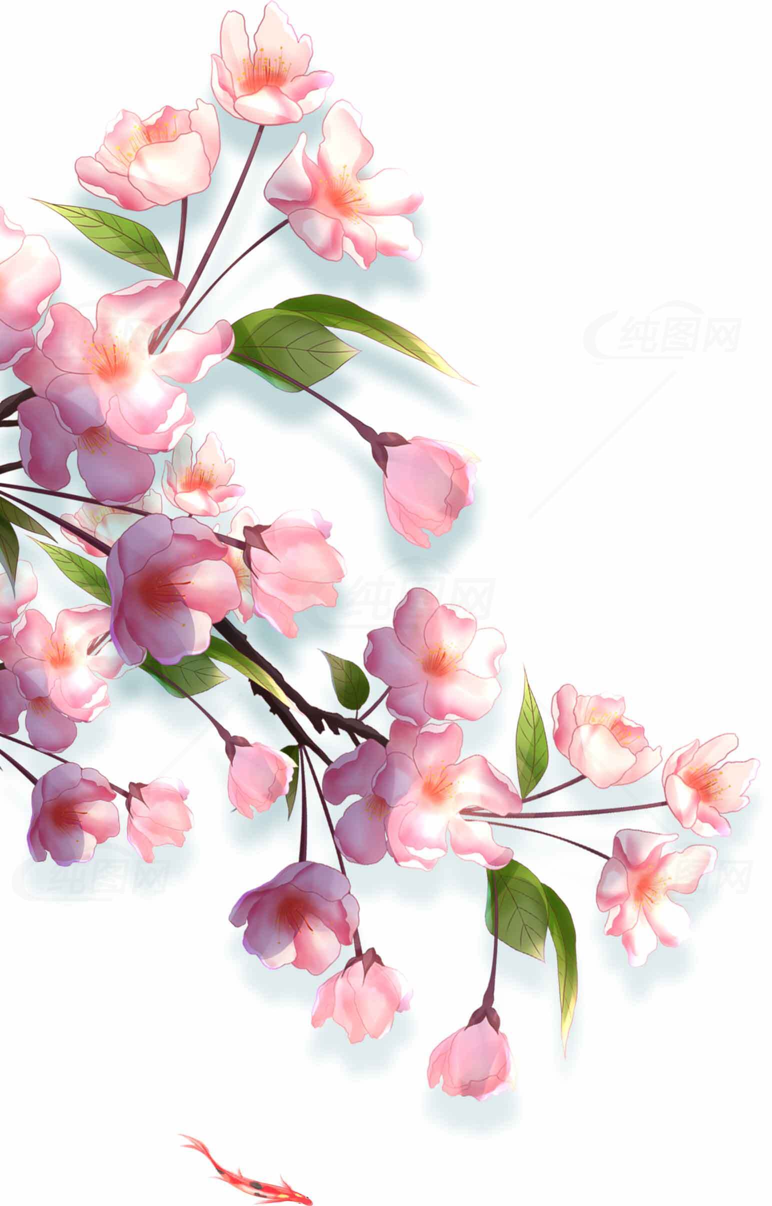 唯美粉色樱花插画图片素材