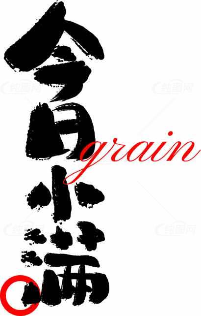 今日小满节气黑白艺术设计素材