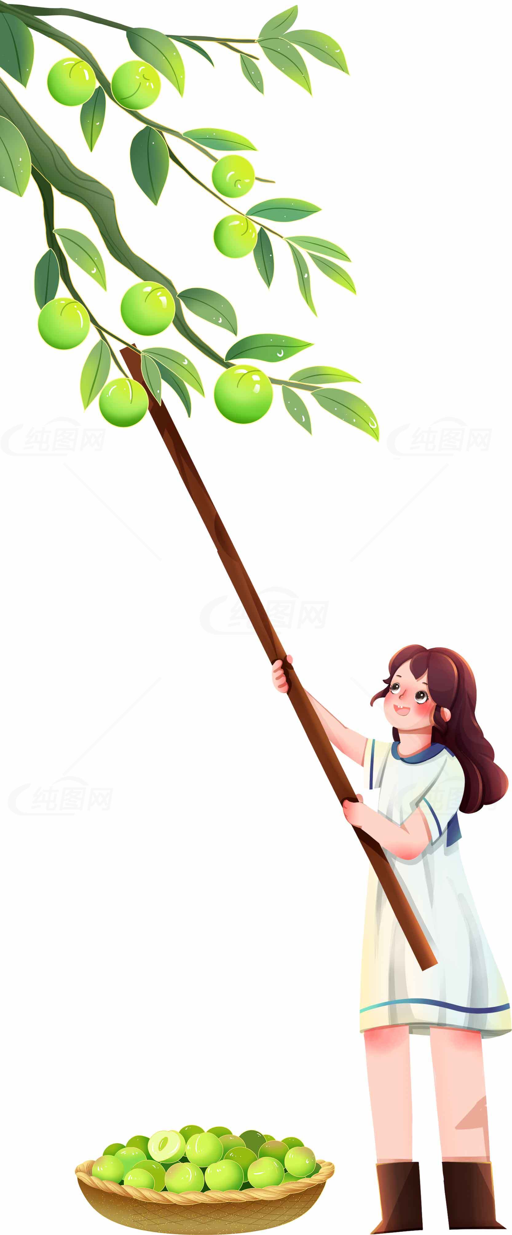采摘绿色果实的女孩插画素材