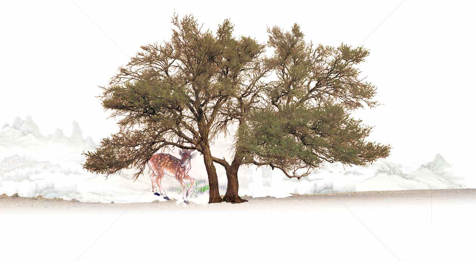 冬季雪景中的孤树与鹿素材