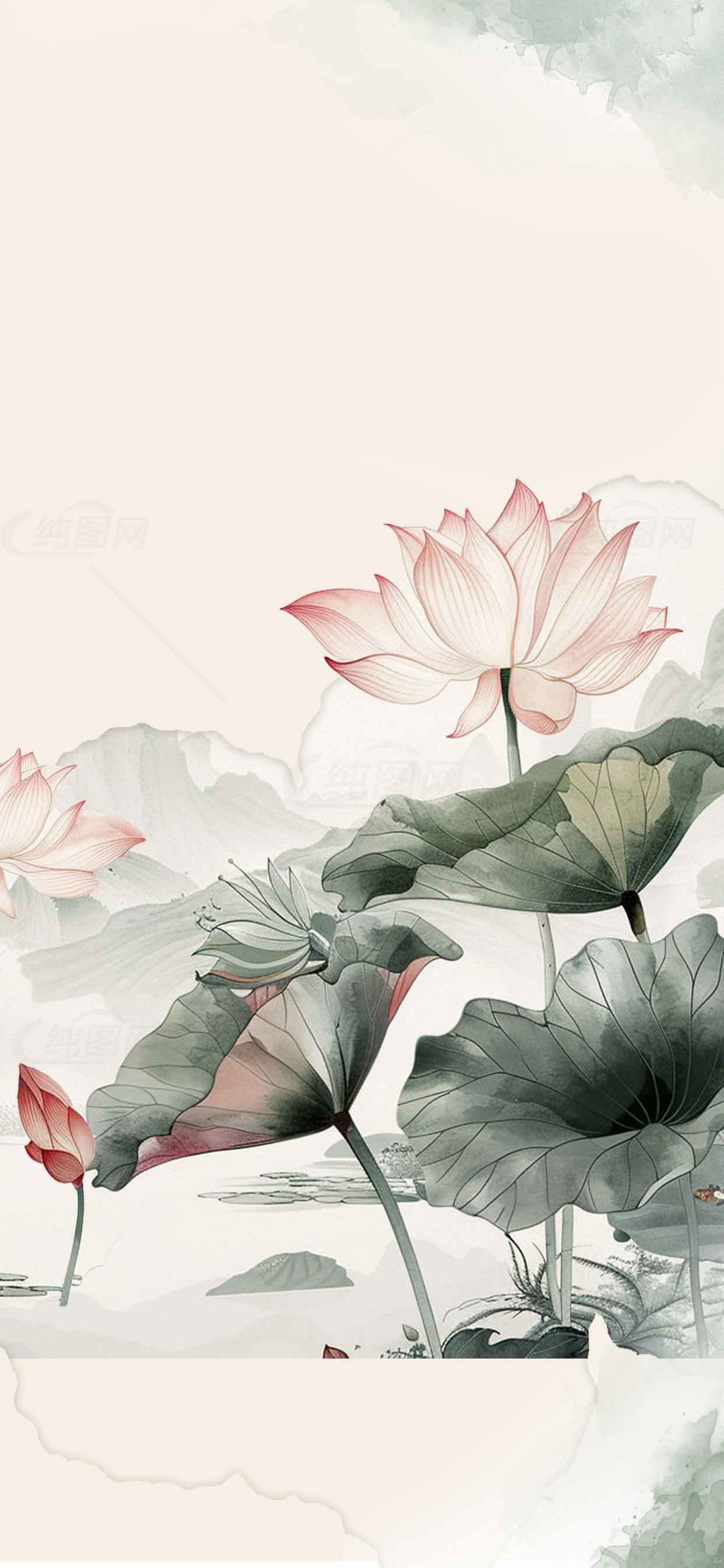 中国风唯美荷花背景高清图片素材