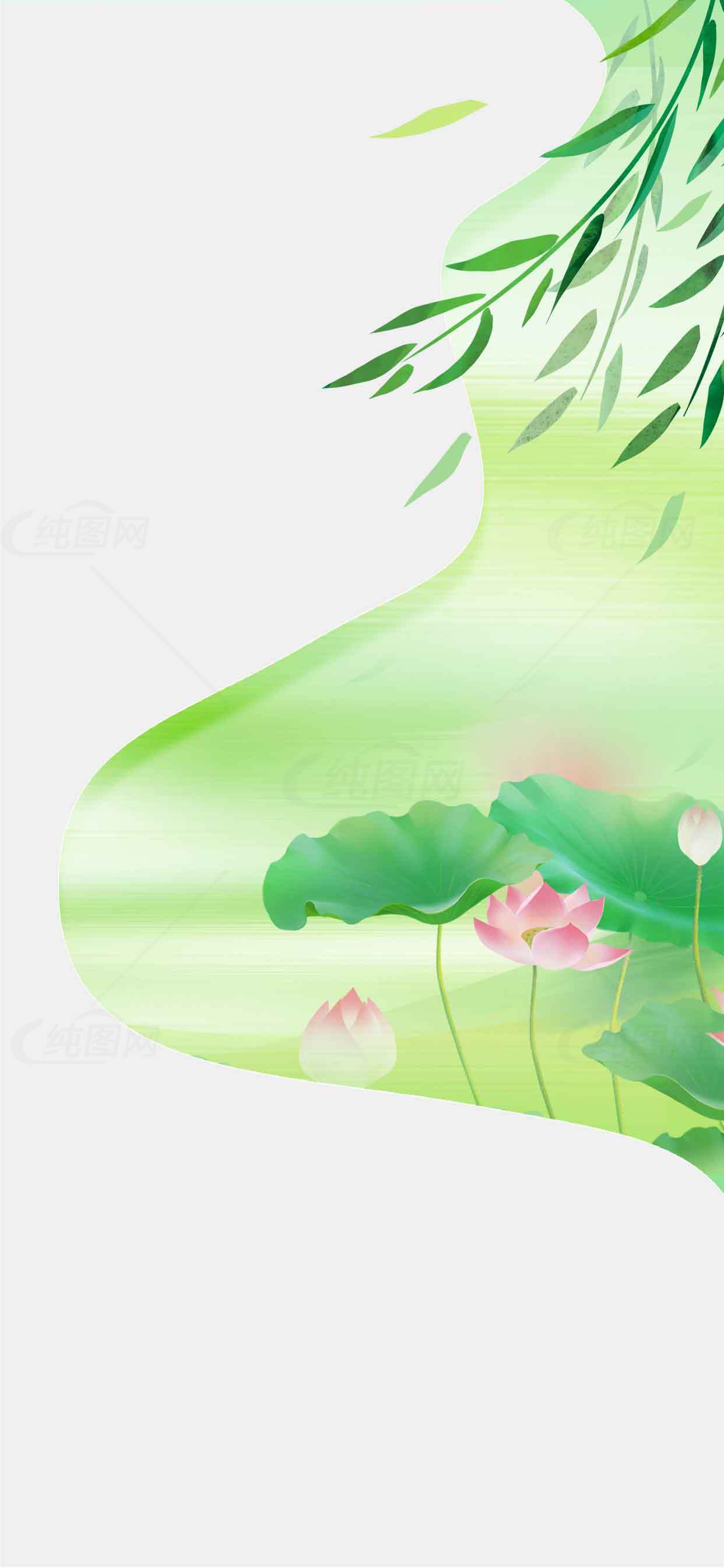 清新荷花背景图片设计素材