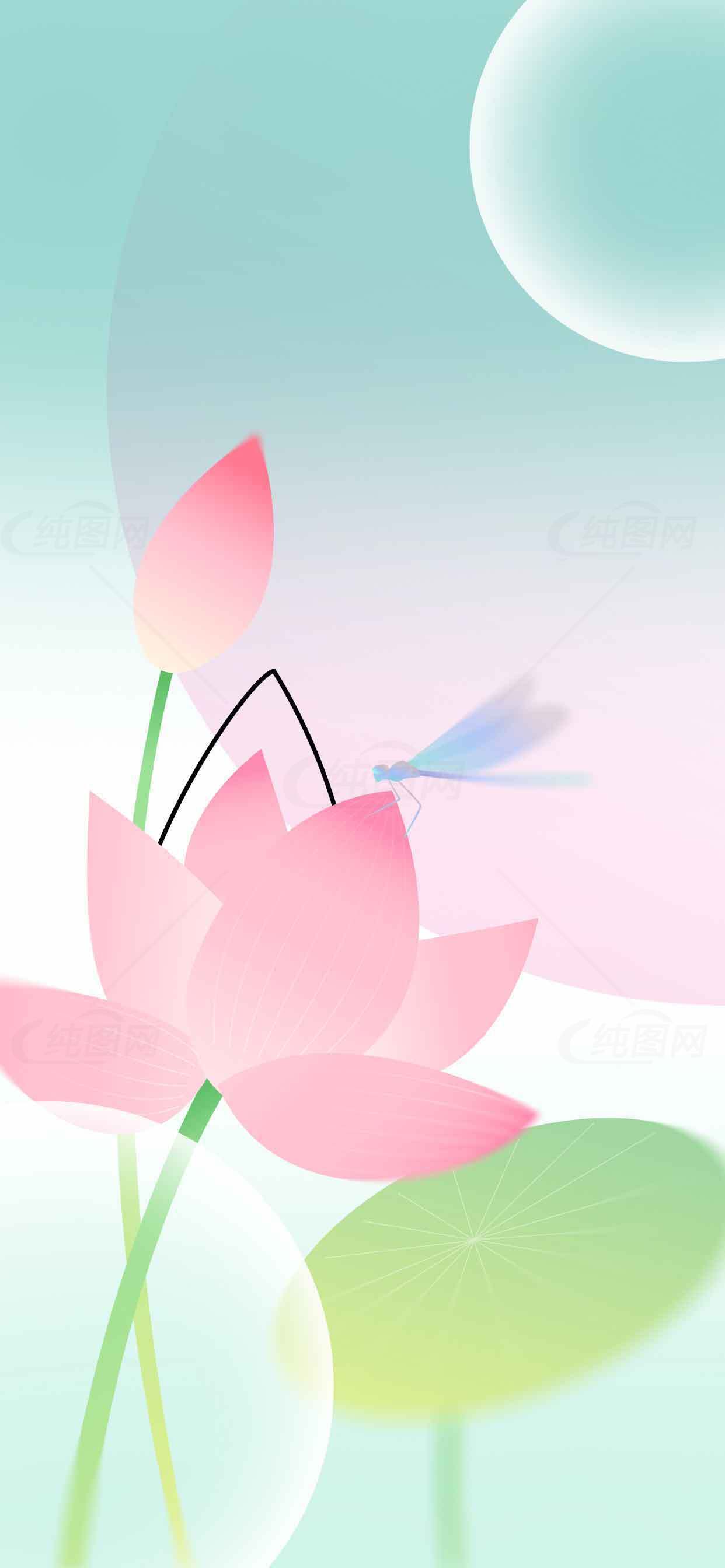 荷花与蜻蜓唯美插画背景图素材