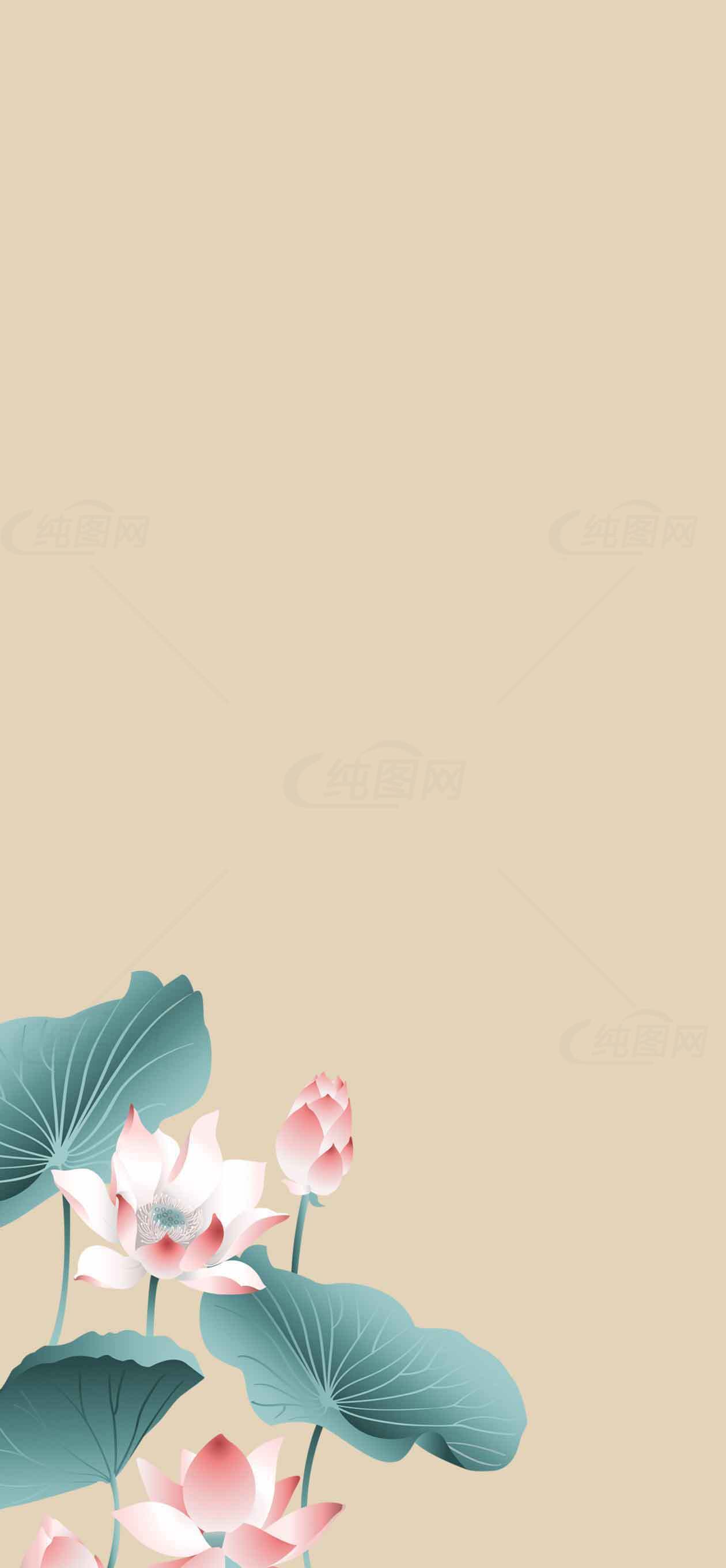 唯美荷花背景图片素材