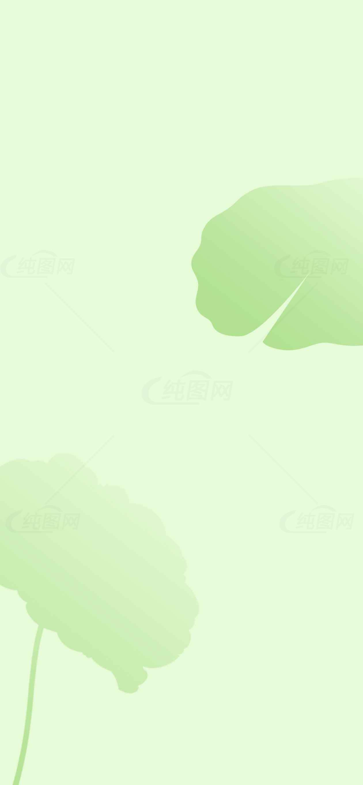 清新绿色荷叶背景图片素材
