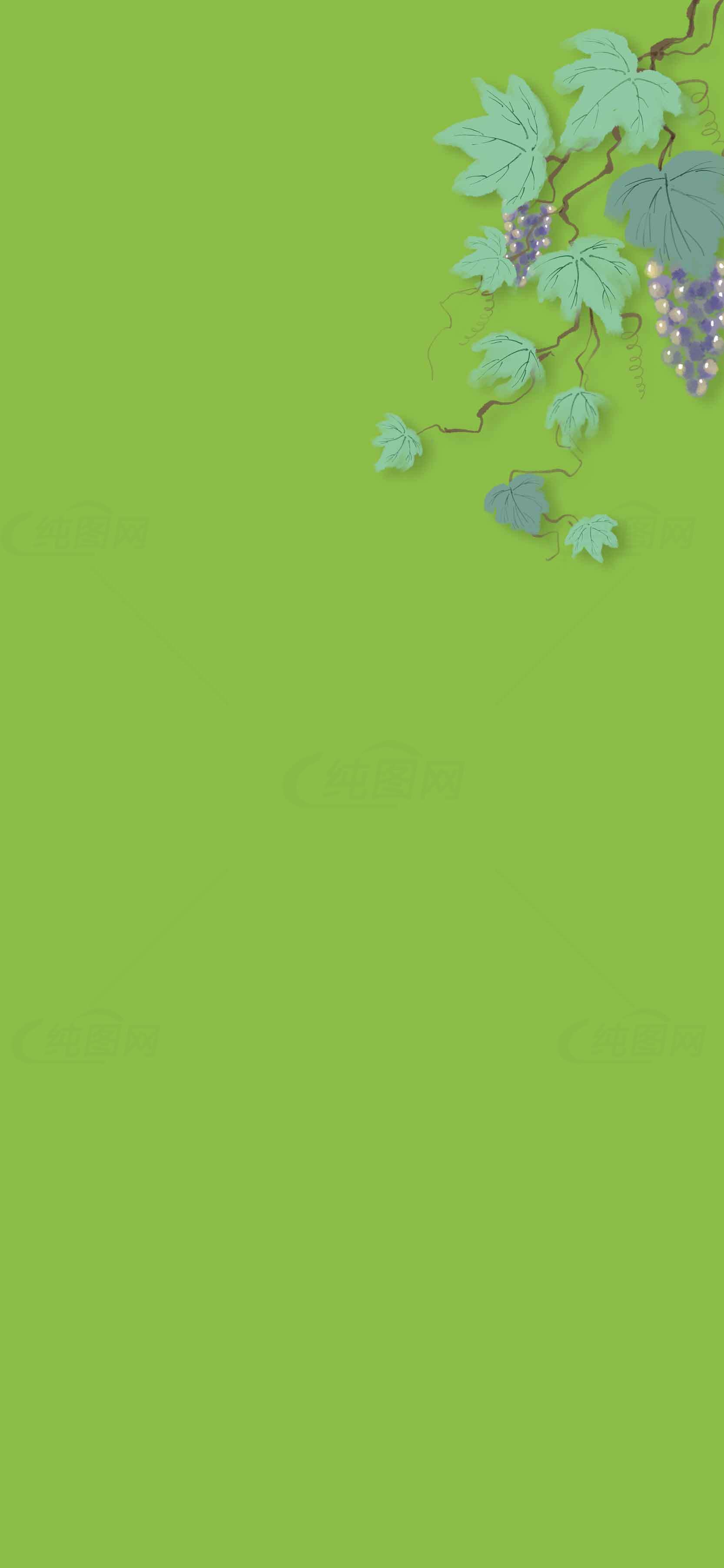绿色背景葡萄藤插画设计素材
