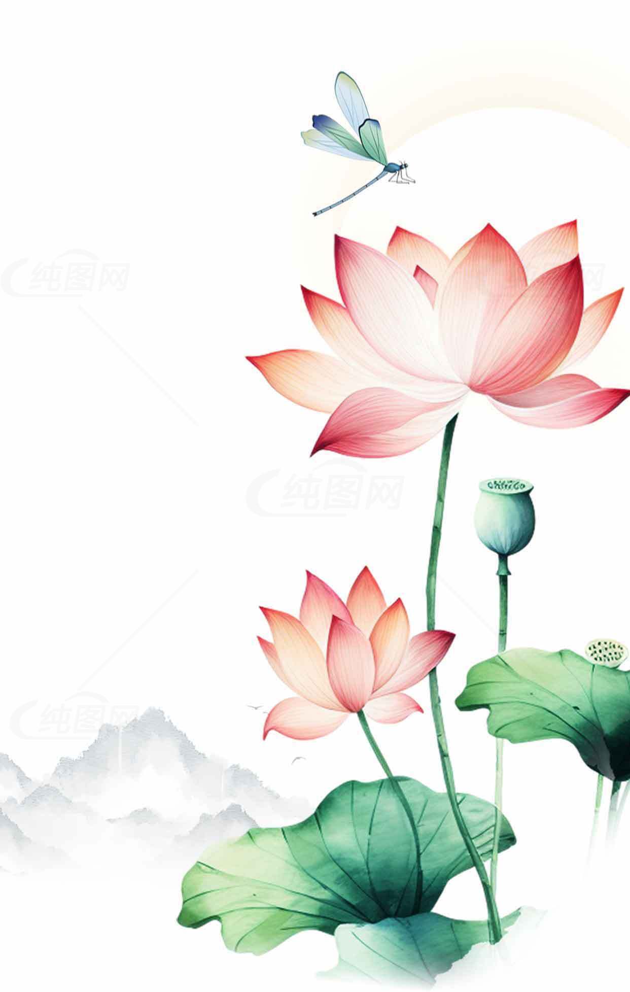 唯美荷花与蜻蜓水墨画背景图片素材