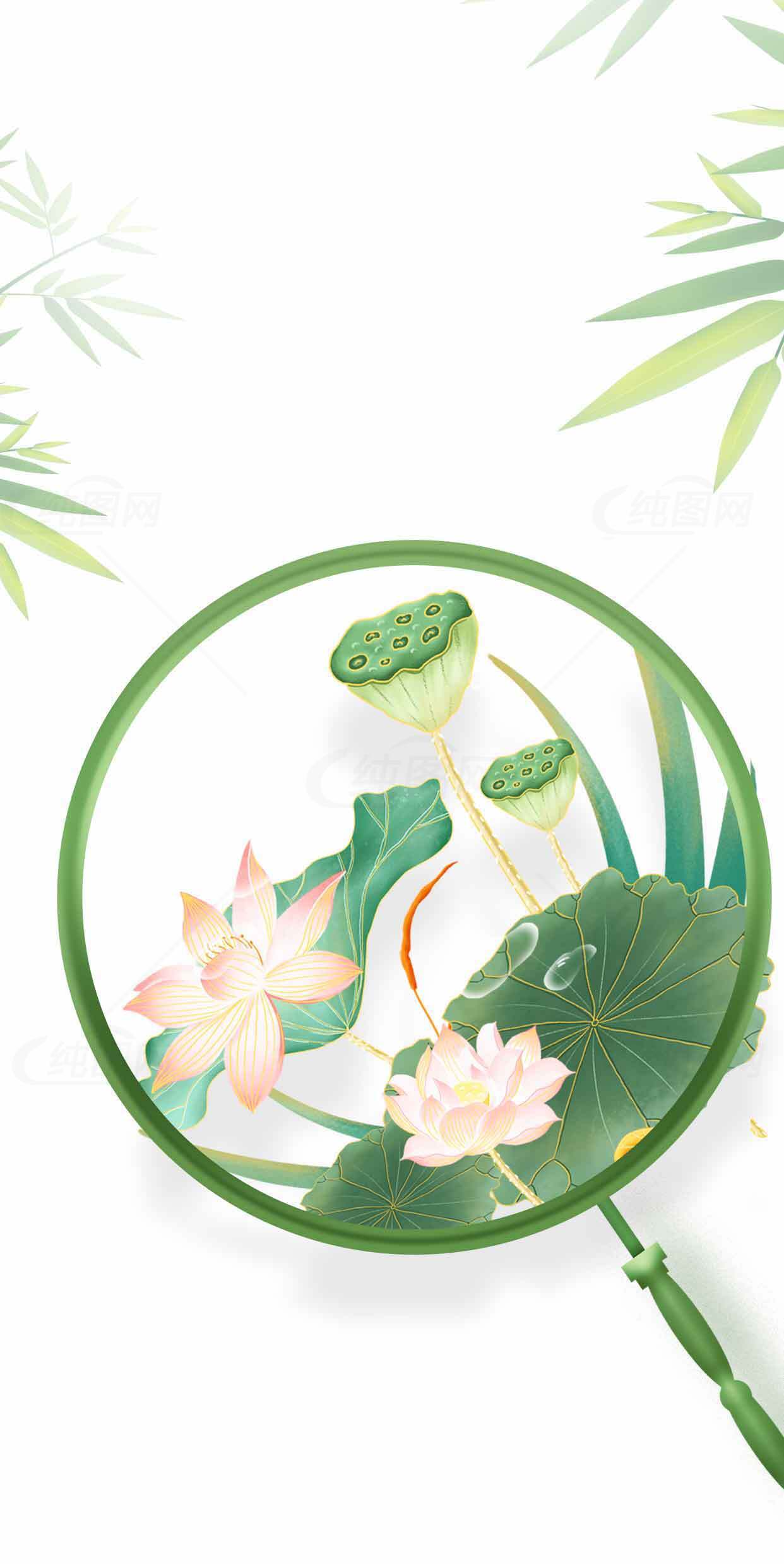 中国风荷花团扇插画图片素材