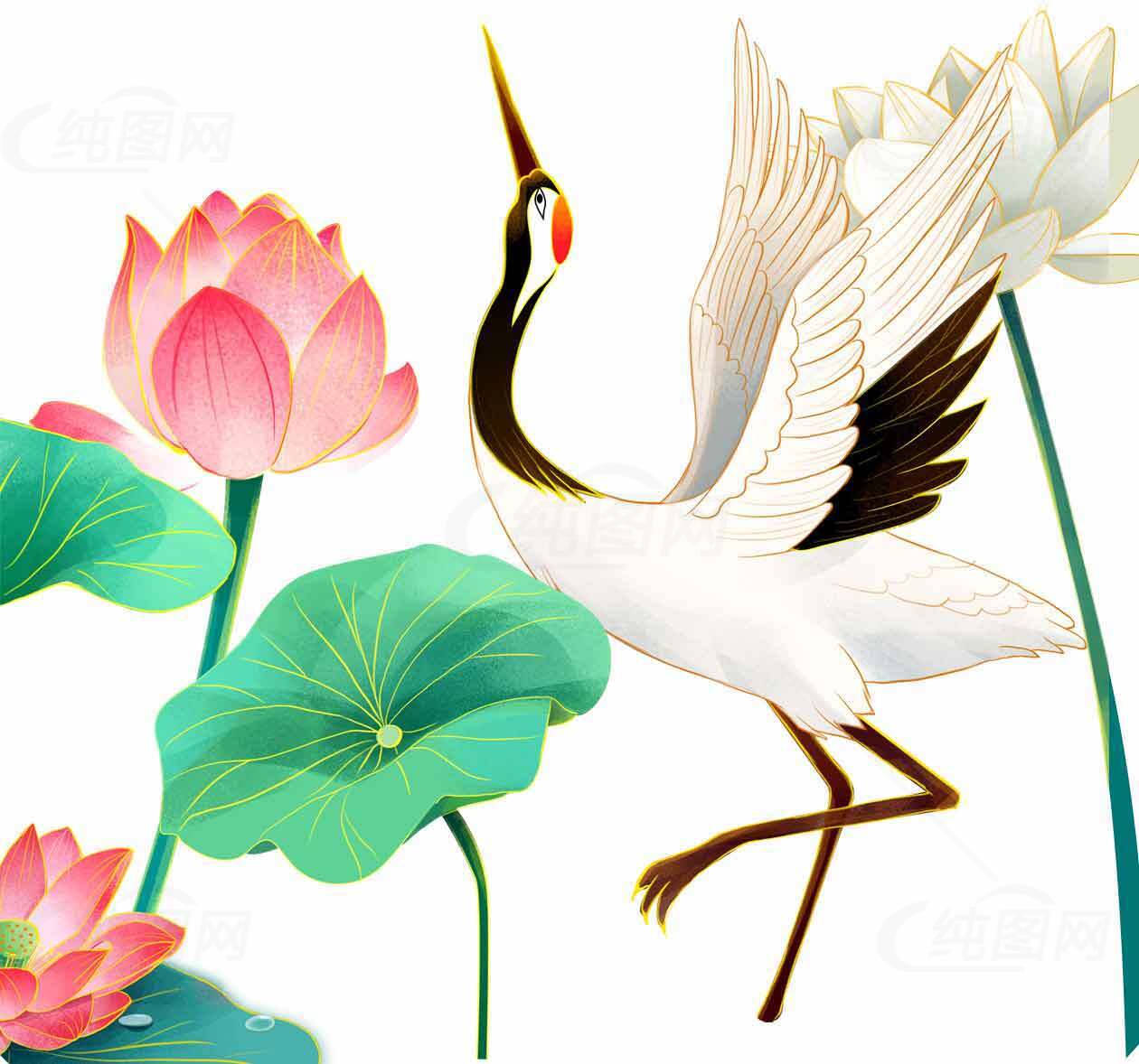 优雅的丹顶鹤与荷花意境插画素材