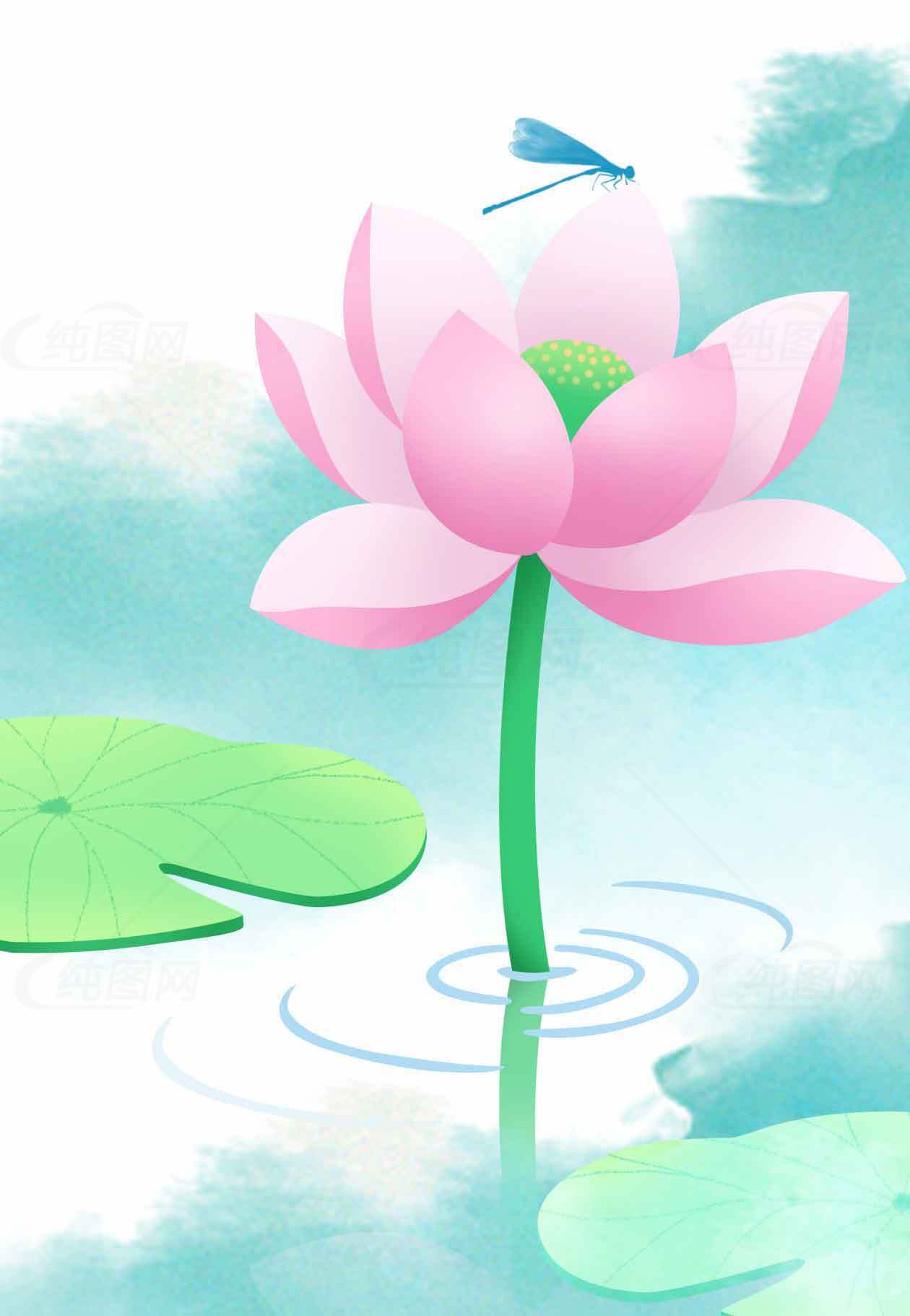 唯美荷花与蜻蜓插画图片素材