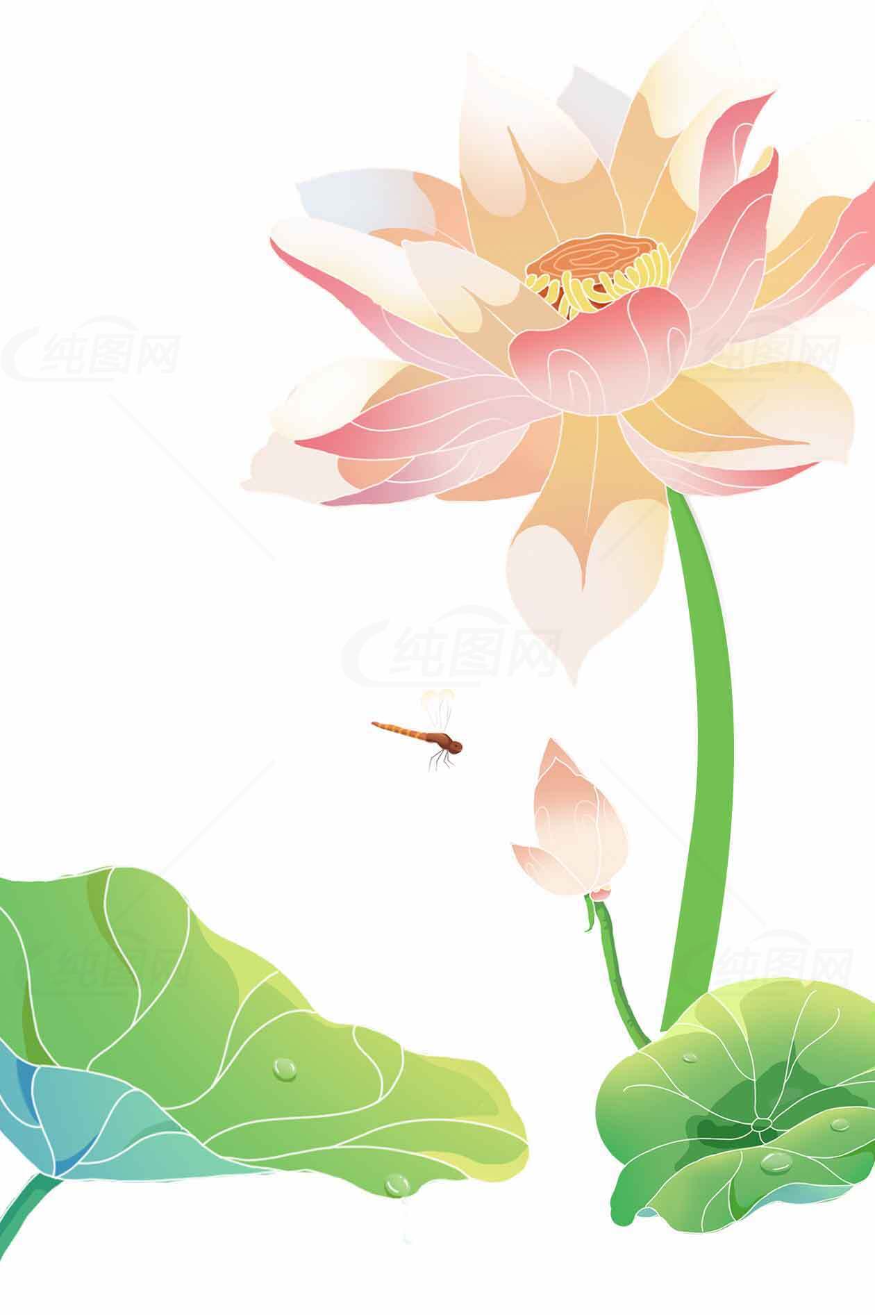 唯美荷花插画设计图片素材