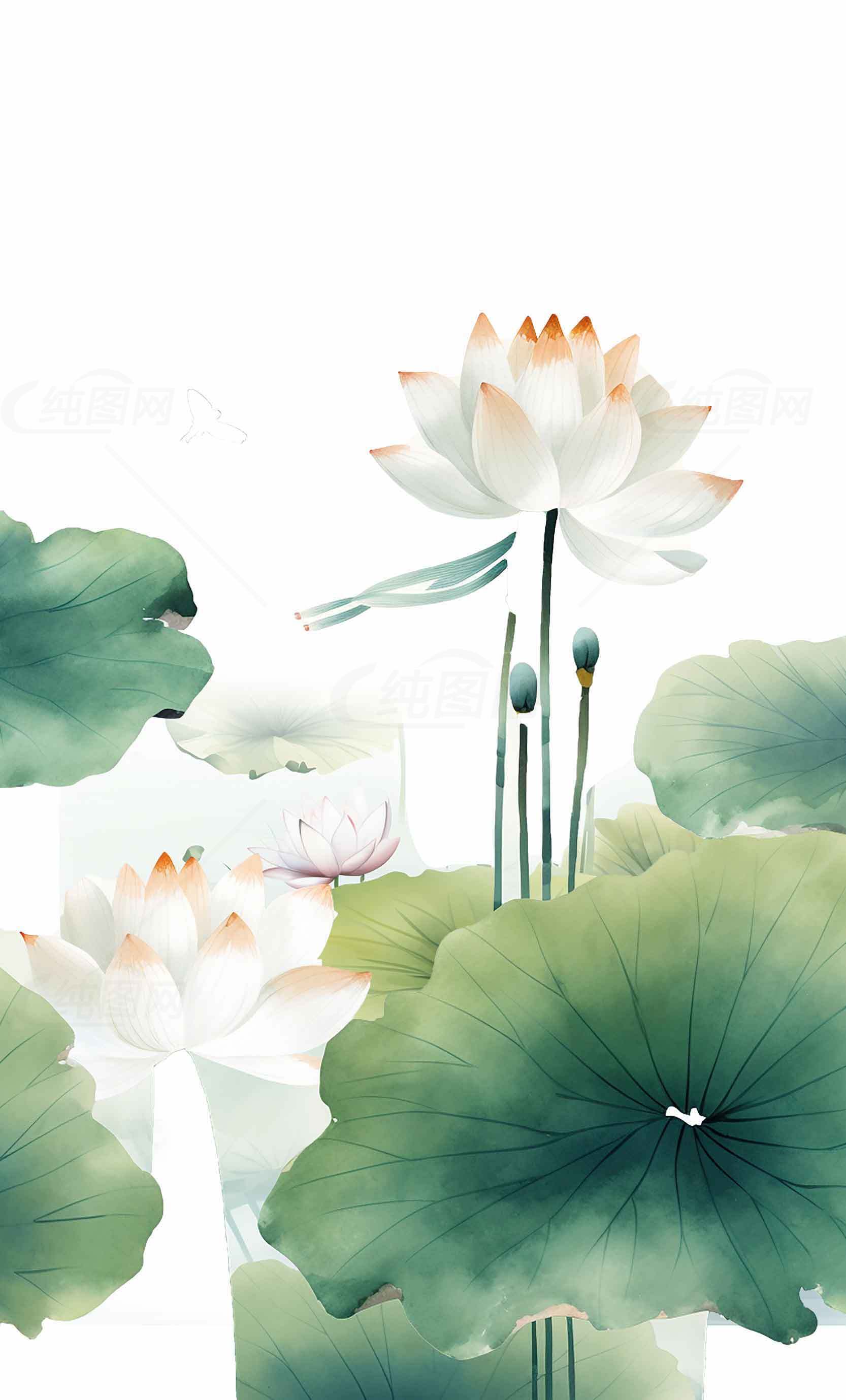 唯美荷花水墨画图片欣赏素材