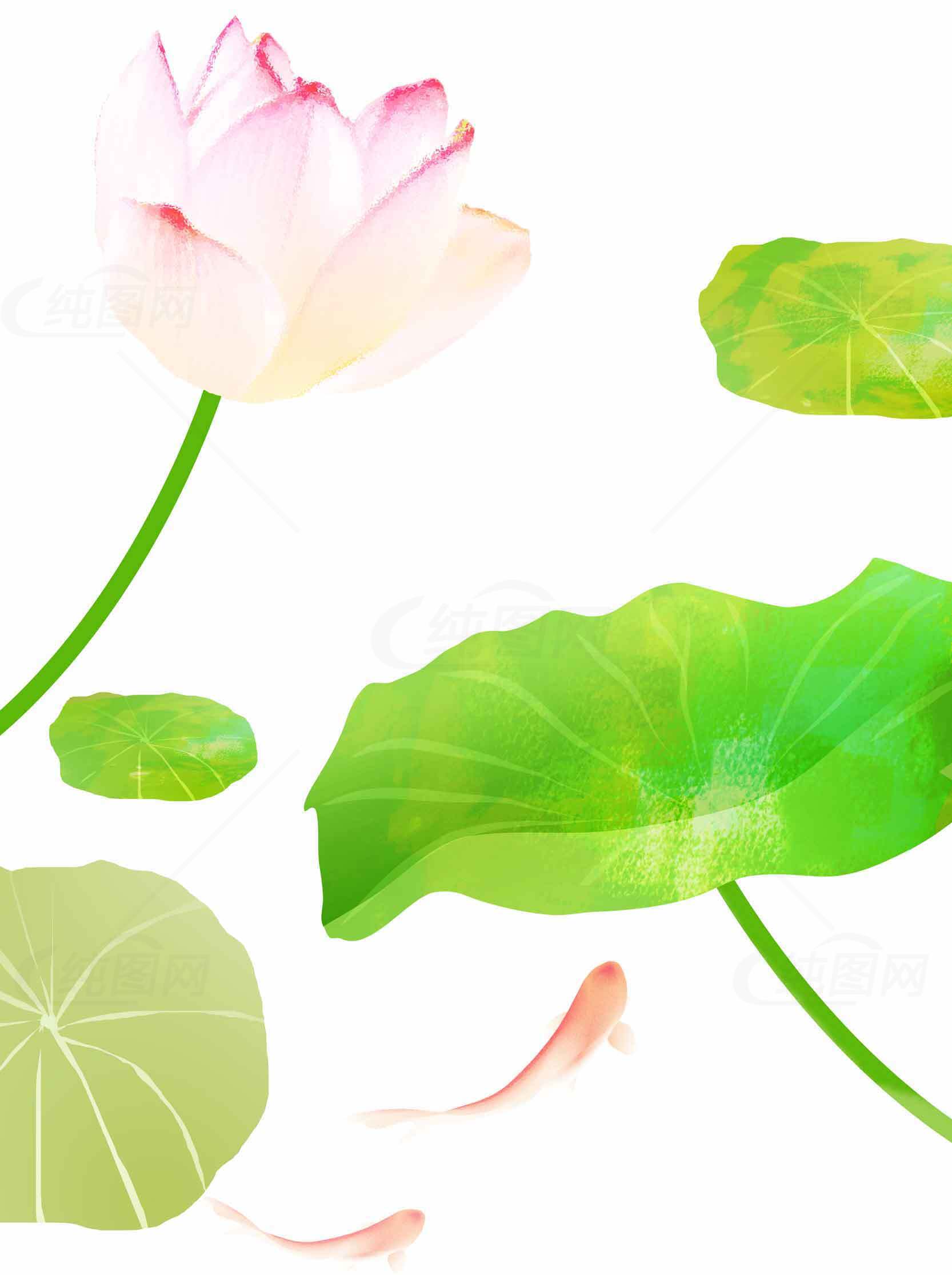 清新荷花与绿叶背景图片素材