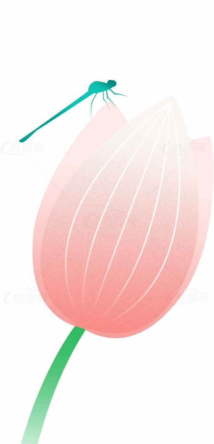 粉色郁金香与蜻蜓插画设计素材