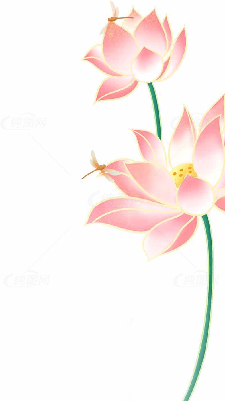 唯美粉色荷花插画图片素材