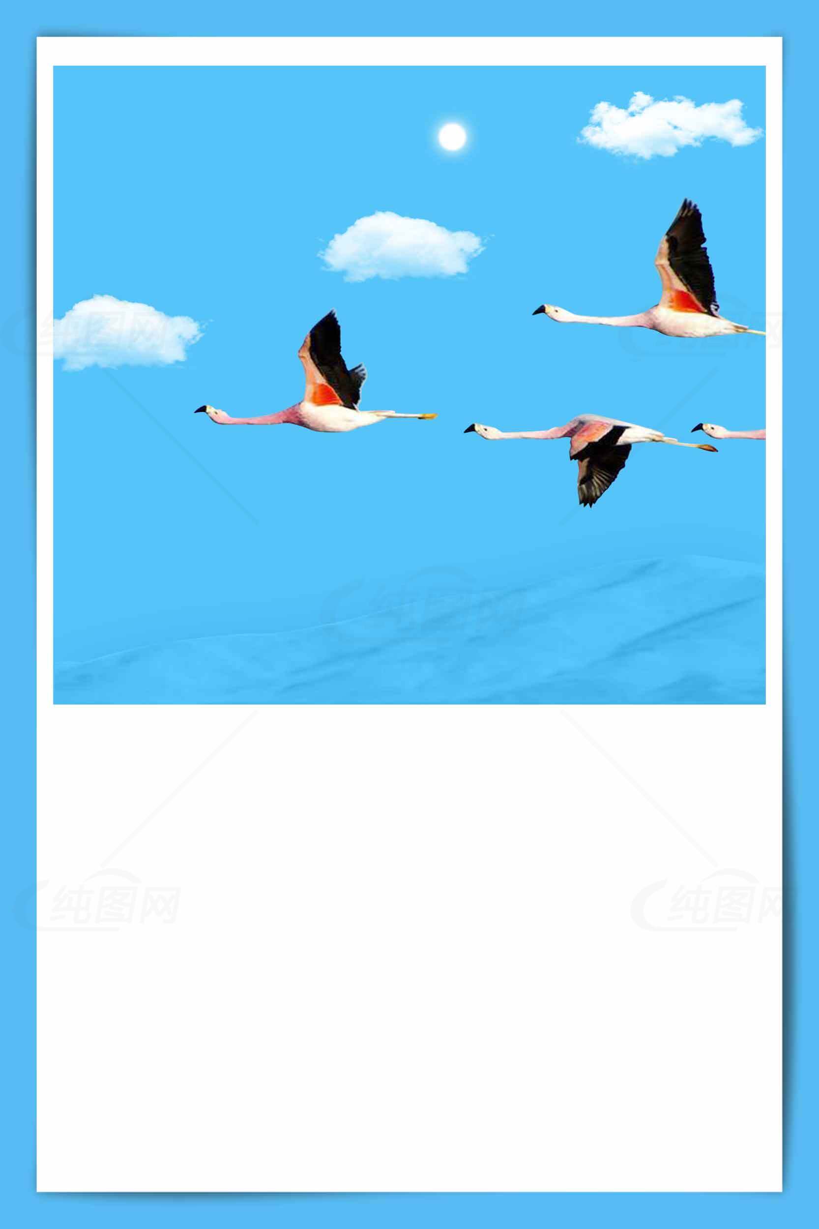 飞翔的火烈鸟与蓝天白云背景图片素材