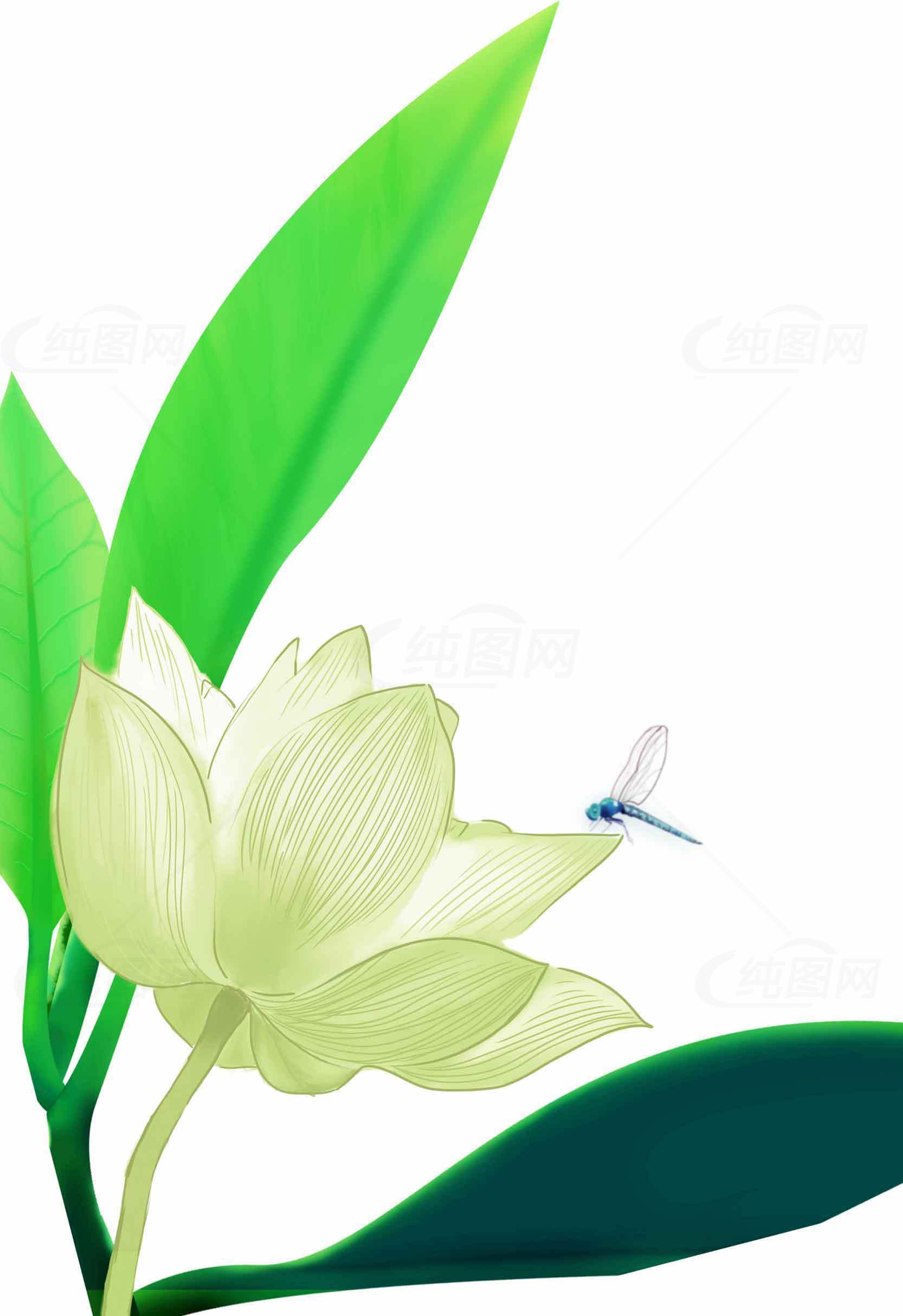荷花与蜻蜓唯美插画图片合集素材