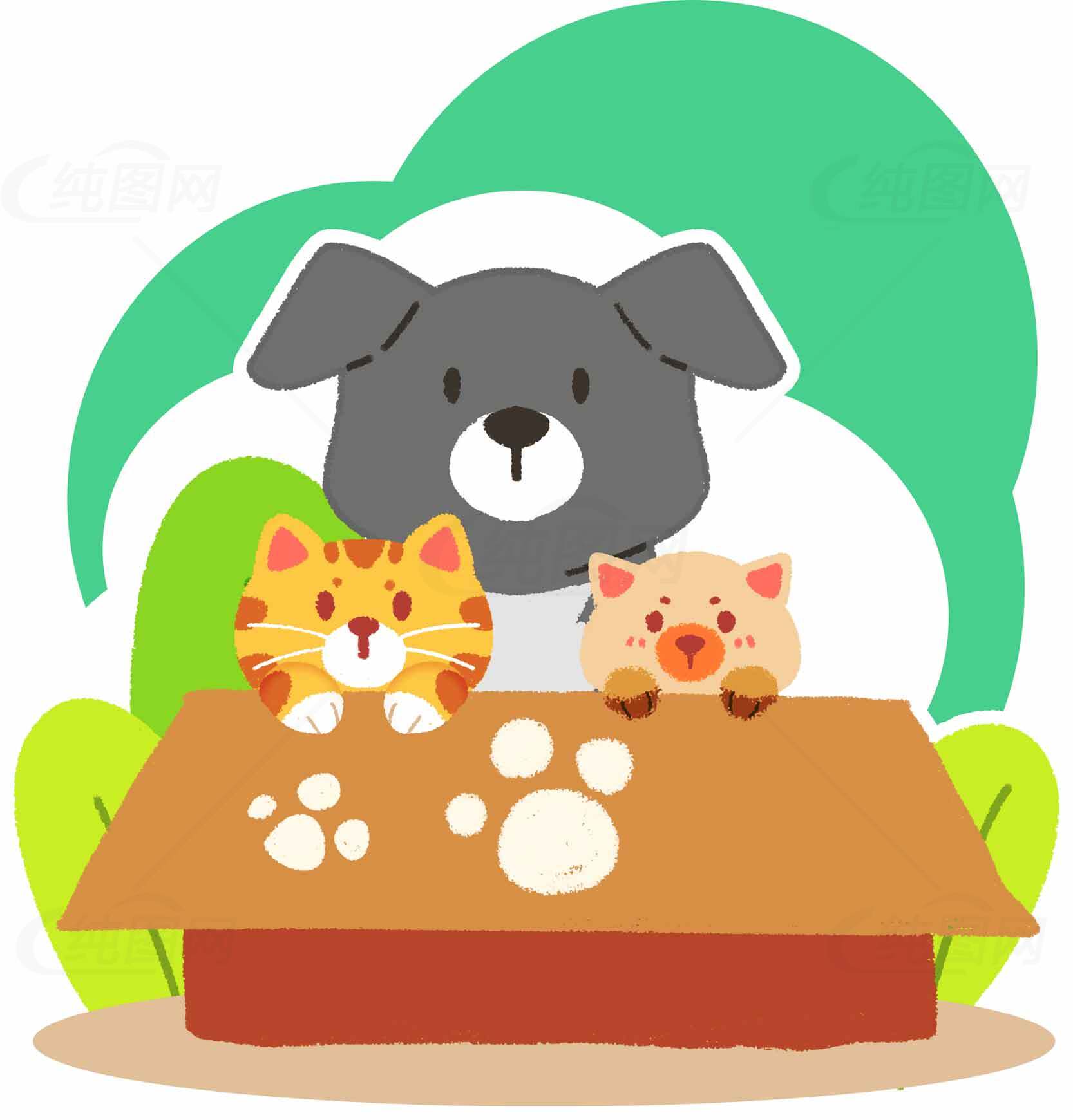 宠物之家：狗狗与猫咪的温馨时光素材