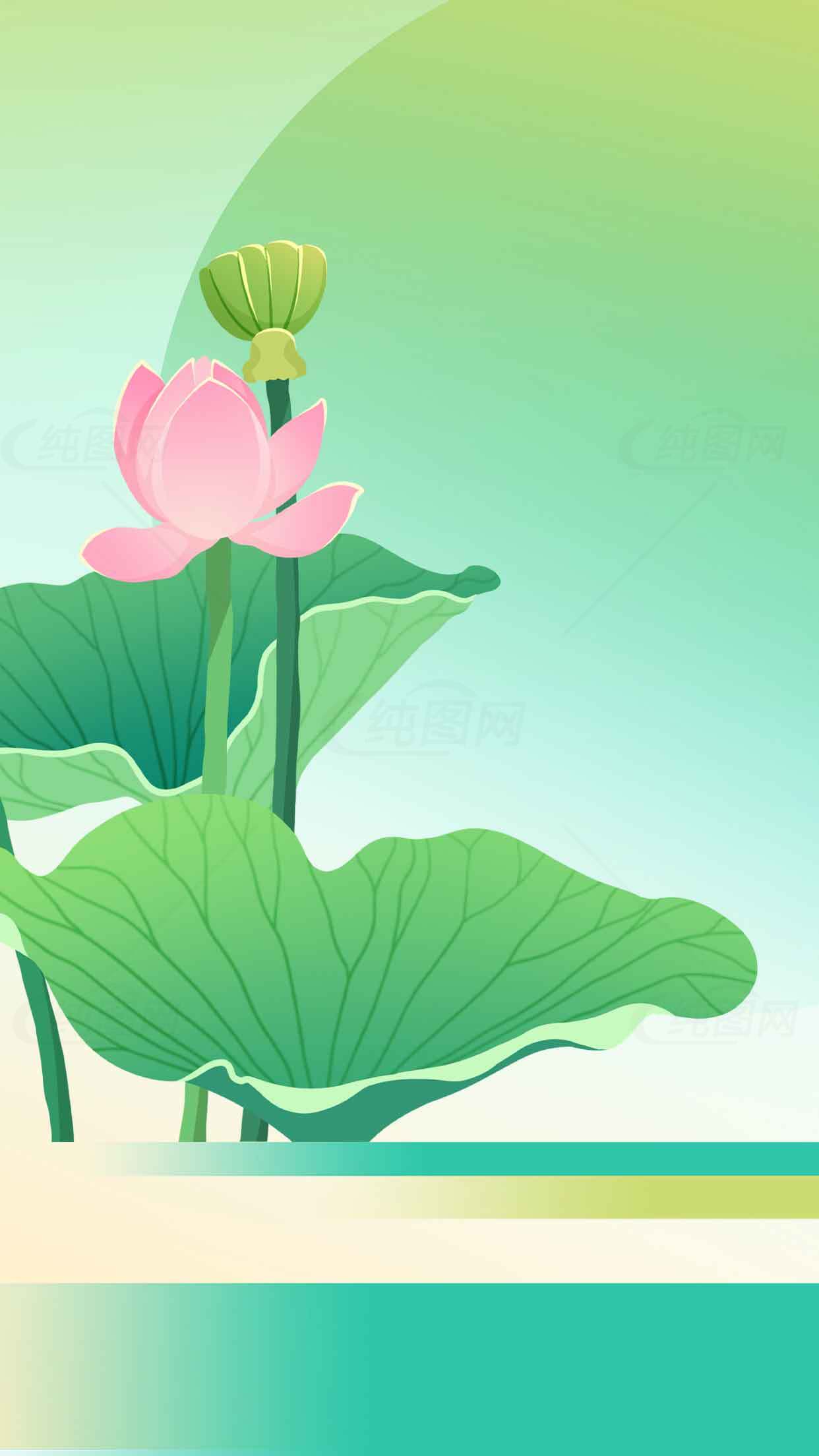 荷花主题清新插画背景图素材