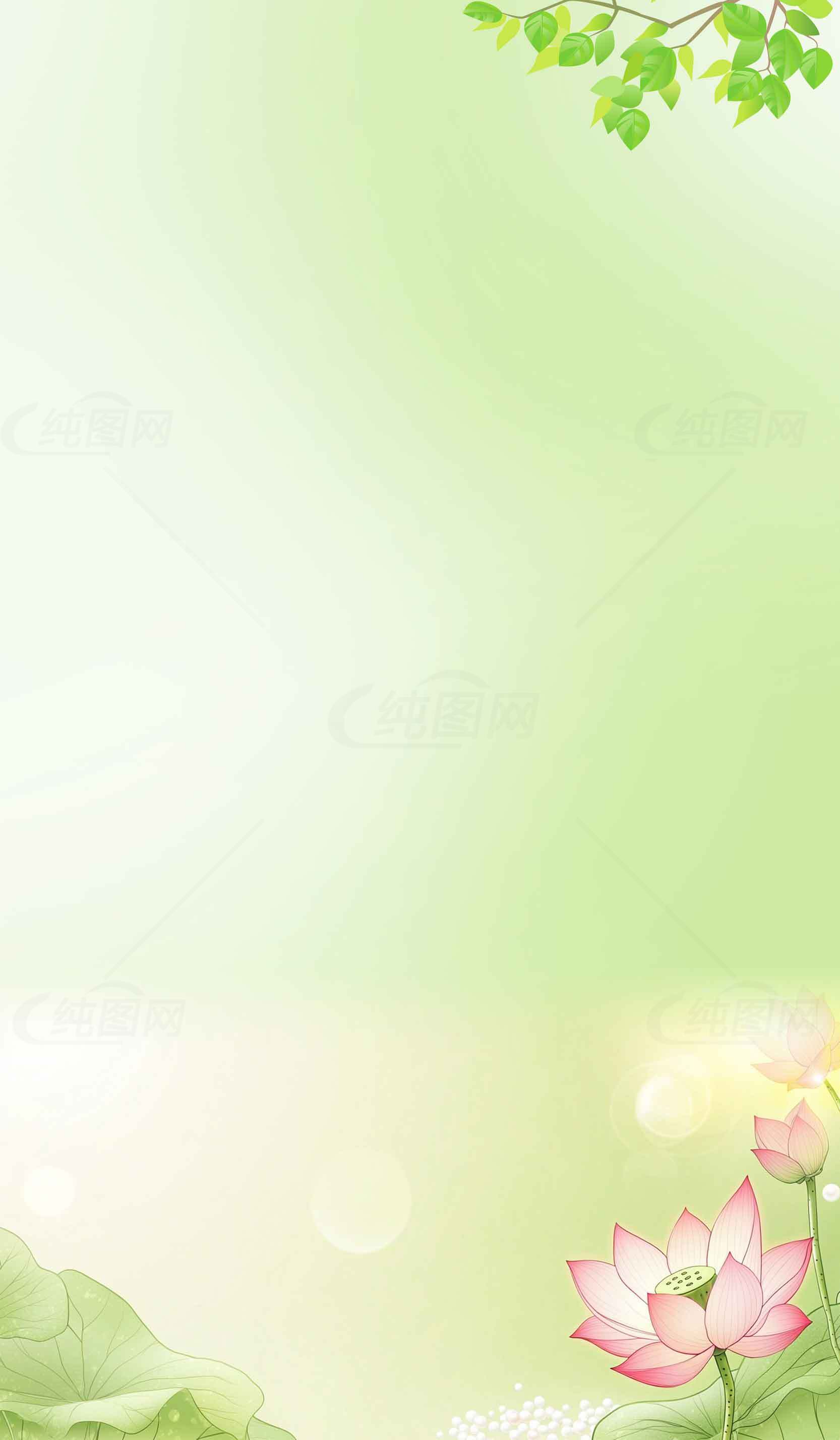 清新绿色荷花背景图片素材