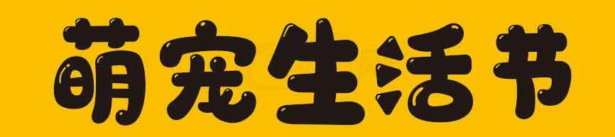 萌宠生活节活动宣传海报素材