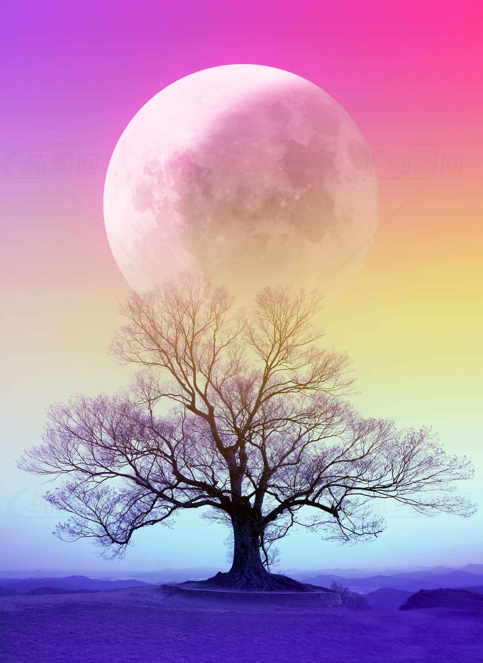 梦幻月夜下的孤树与彩色天空素材