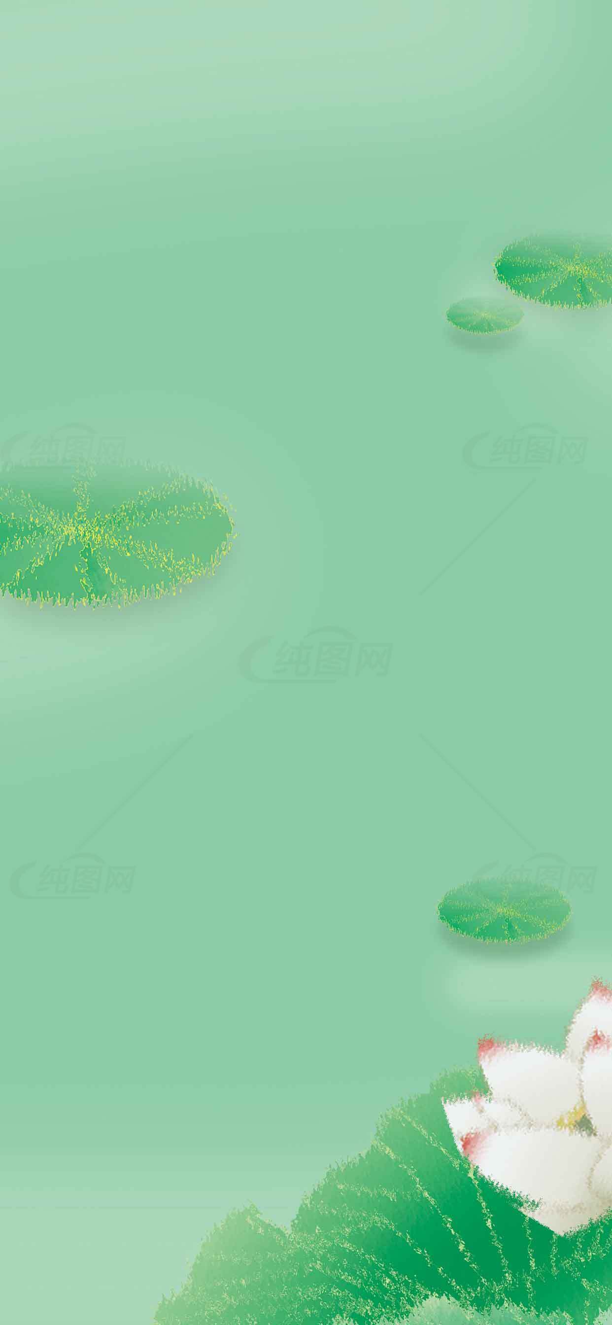 清新荷花背景图片素材